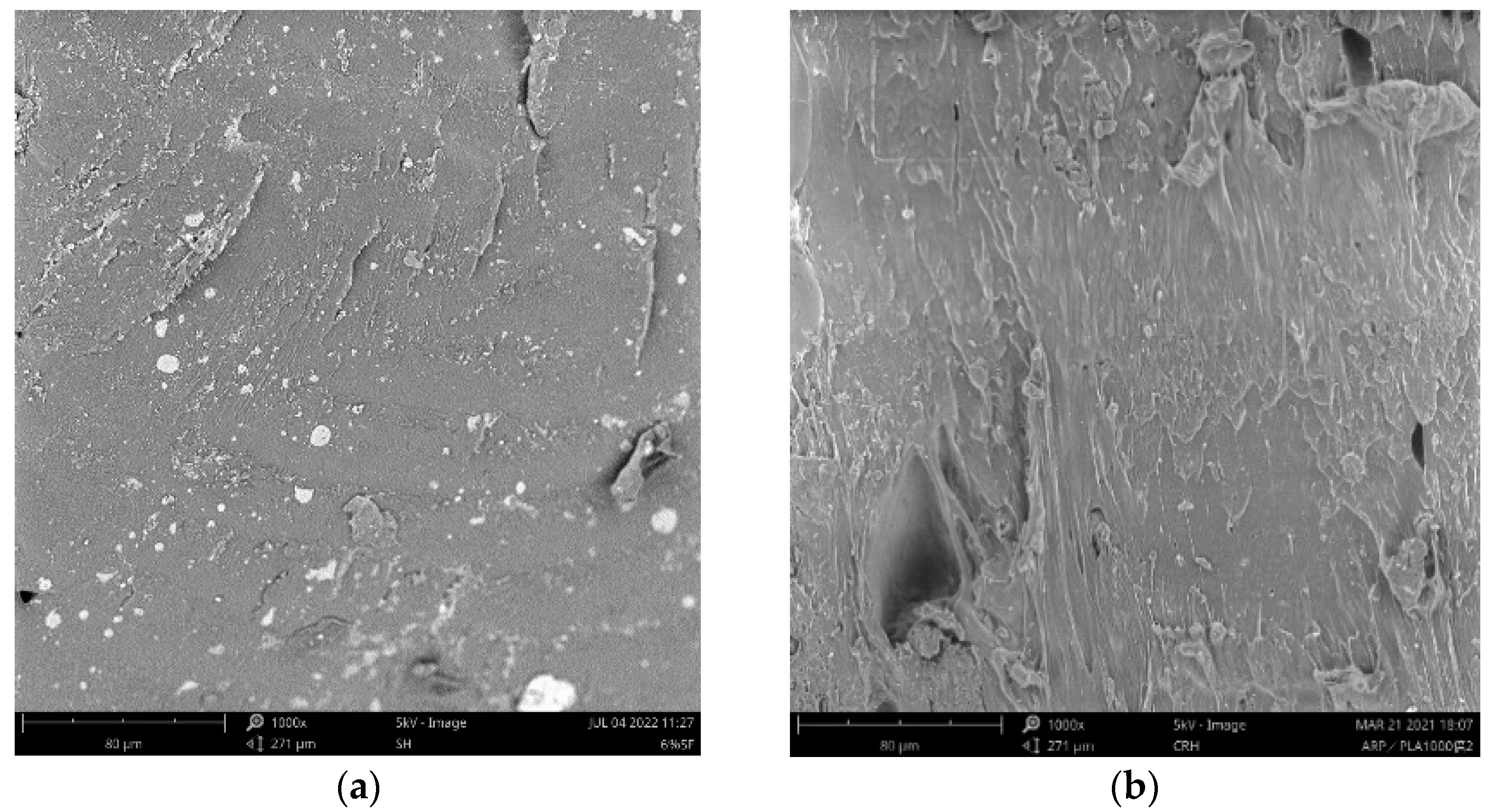Polymers 15 00557 g004a Polymers 15 00557 g004a