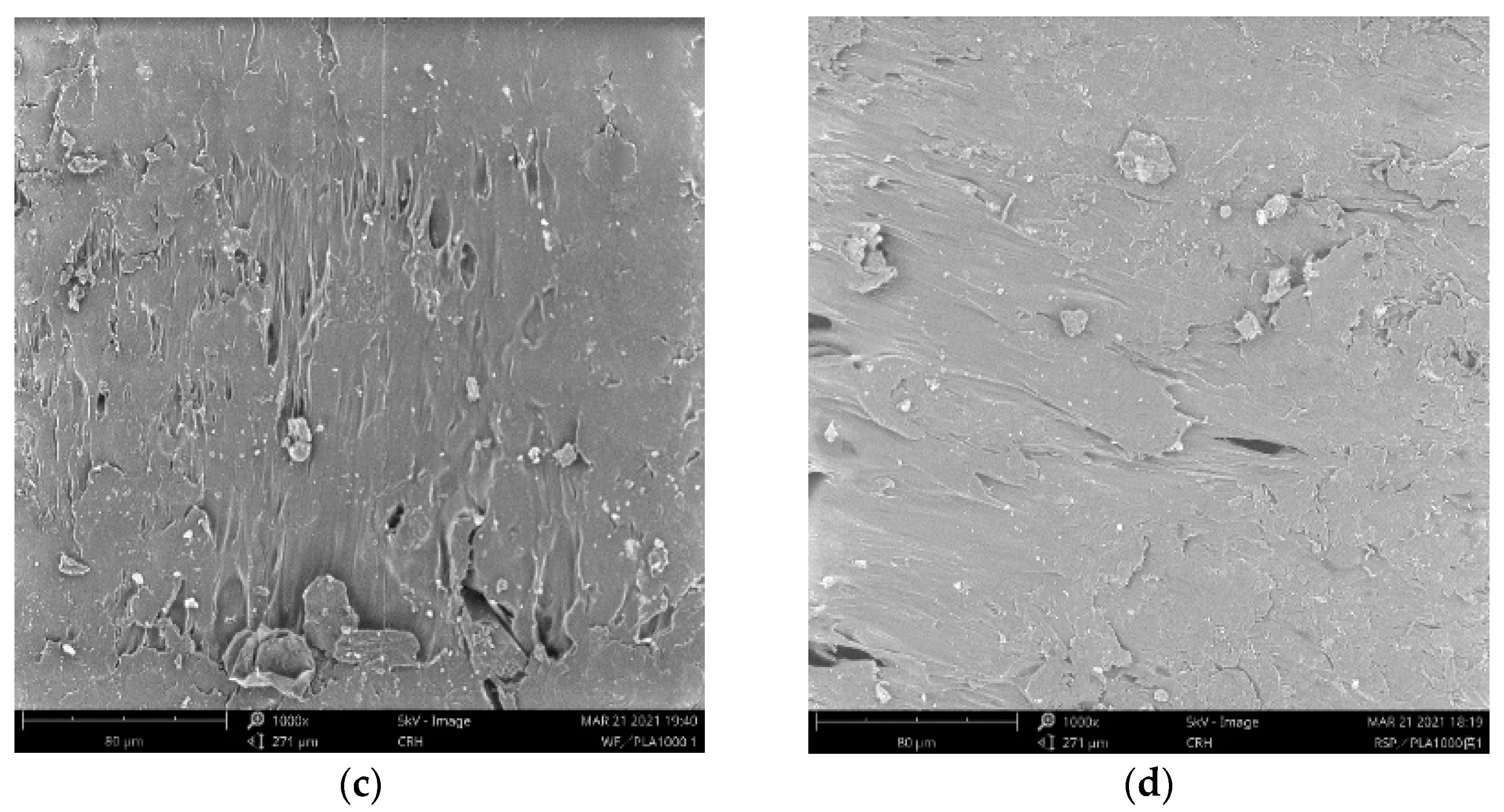 Polymers 15 00557 g004b Polymers 15 00557 g004b