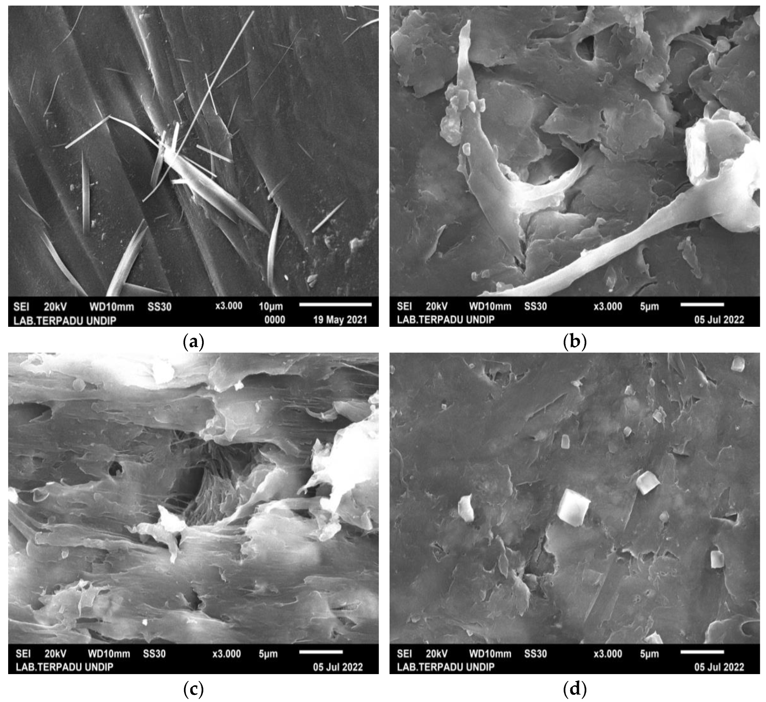 Polymers 15 00559 g003 Polymers 15 00559 g003