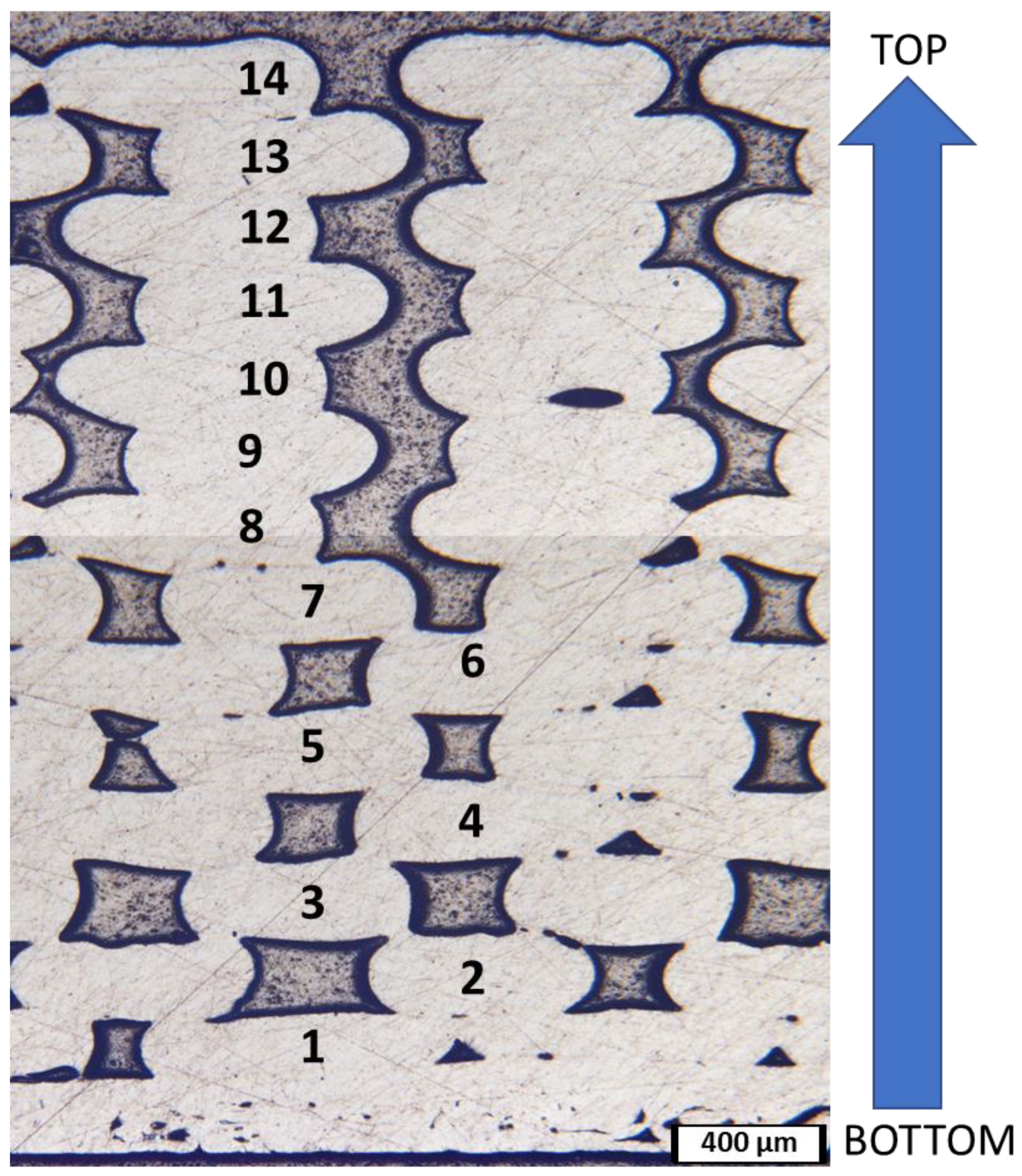 Polymers 15 00561 g005