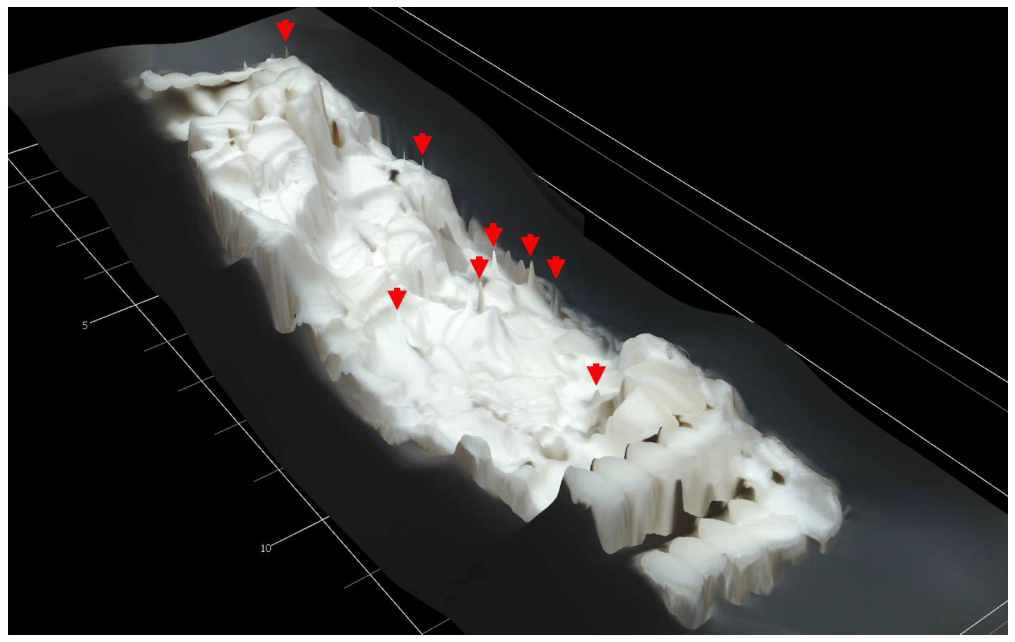 Polymers 15 00561 g009