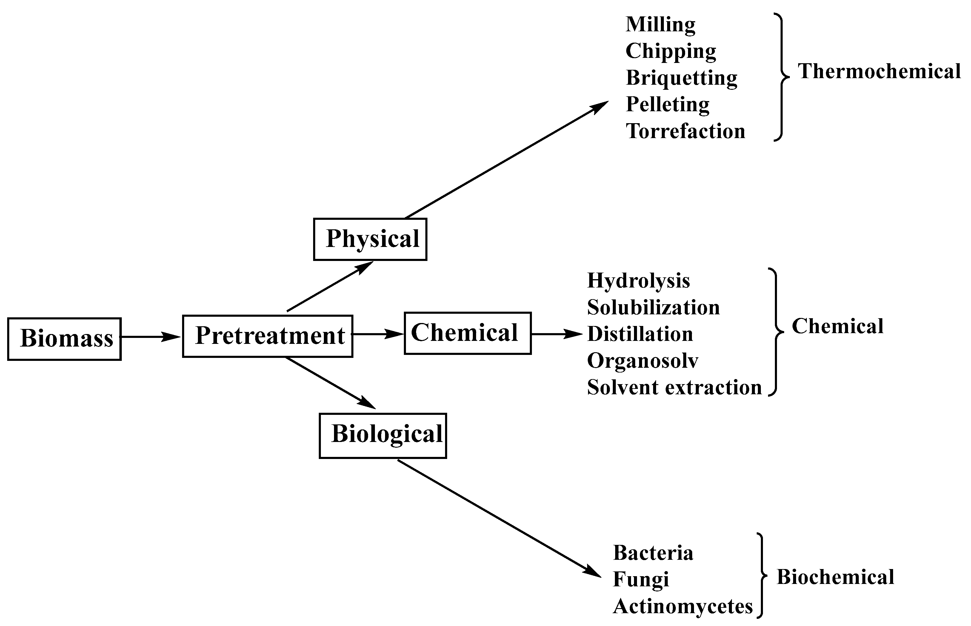 Polymers 15 00563 g002