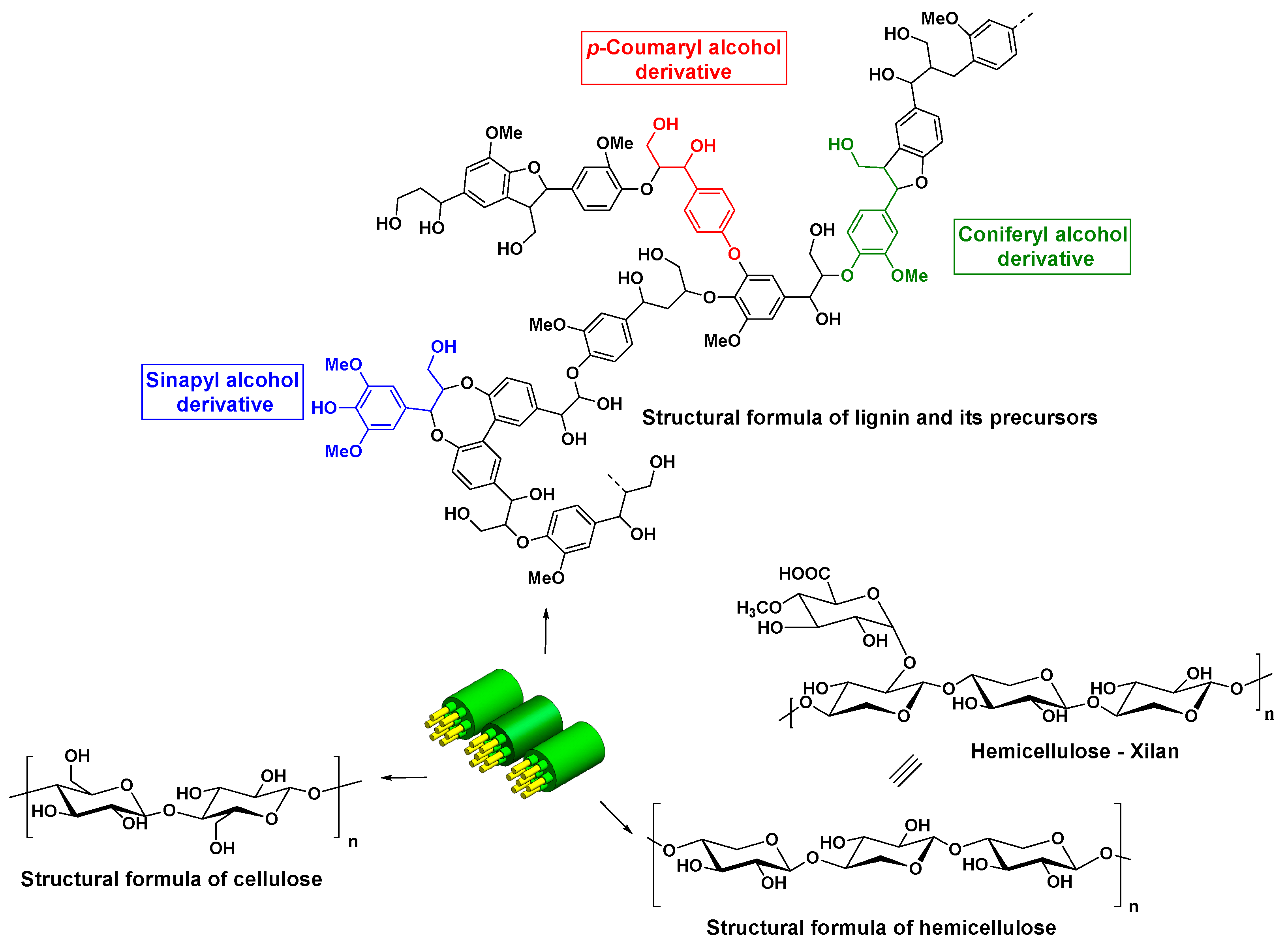 Polymers 15 00563 g003