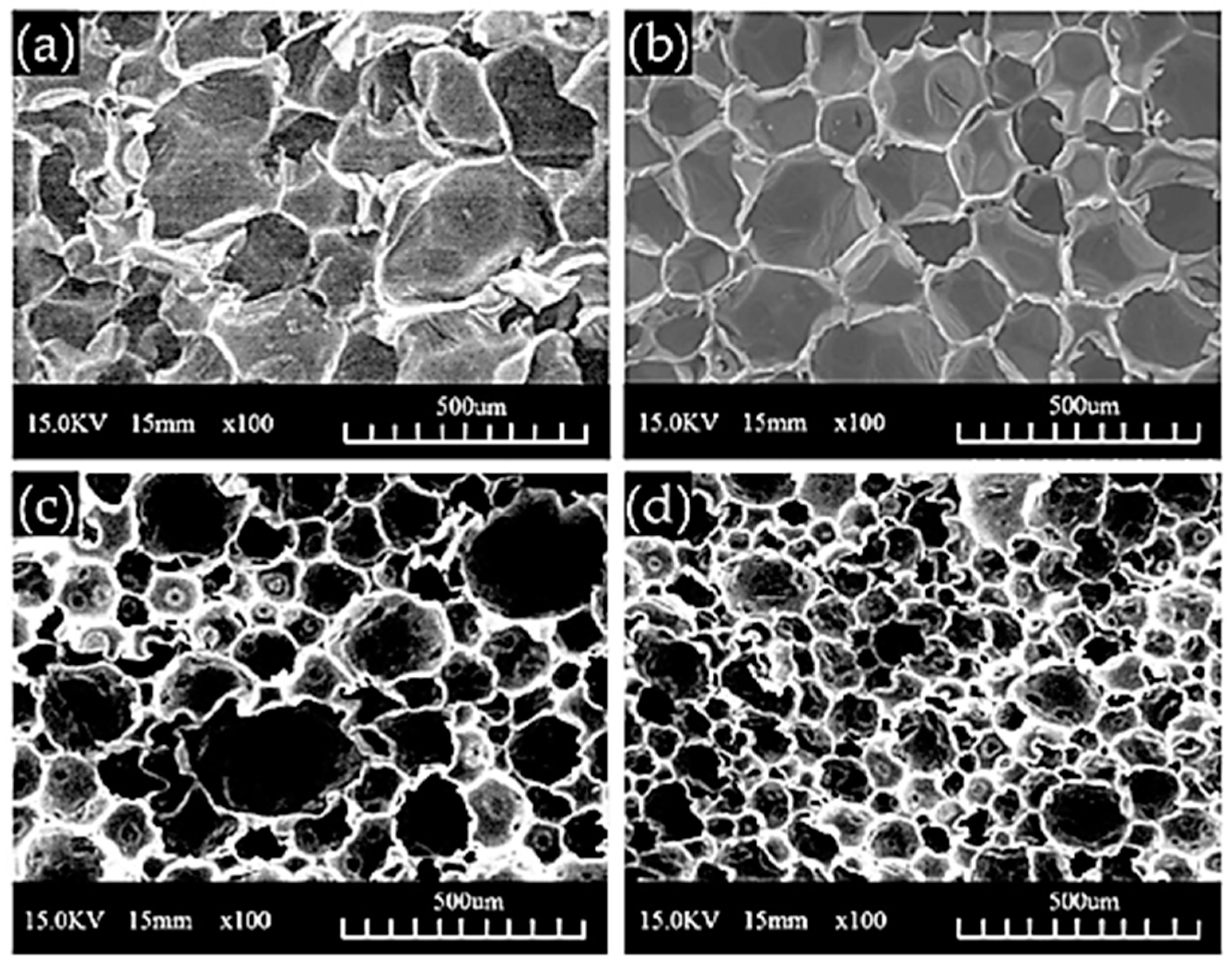 Polymers 15 00563 g010