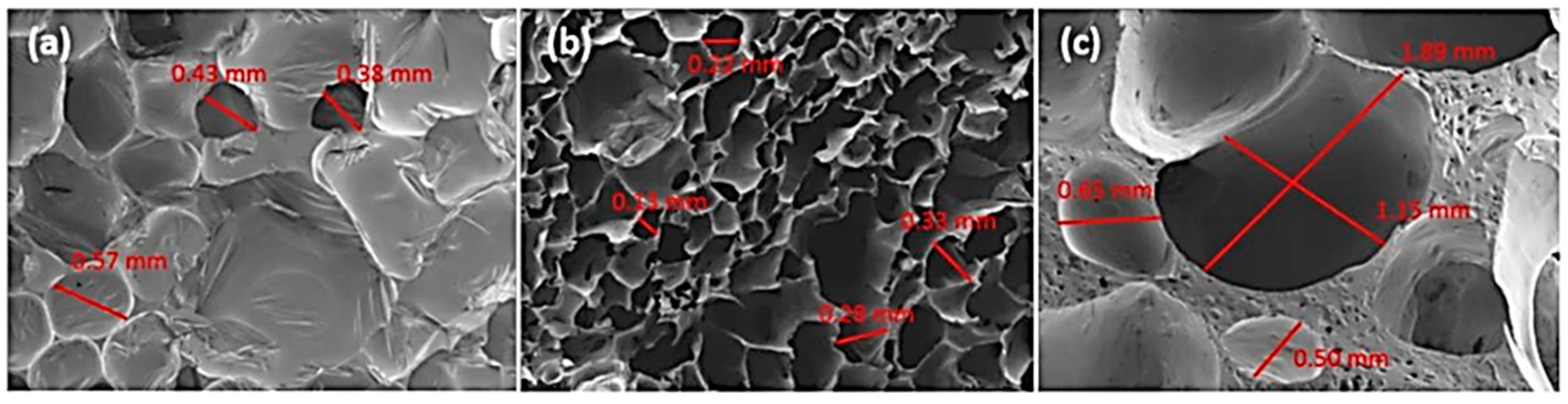 Polymers 15 00563 g012
