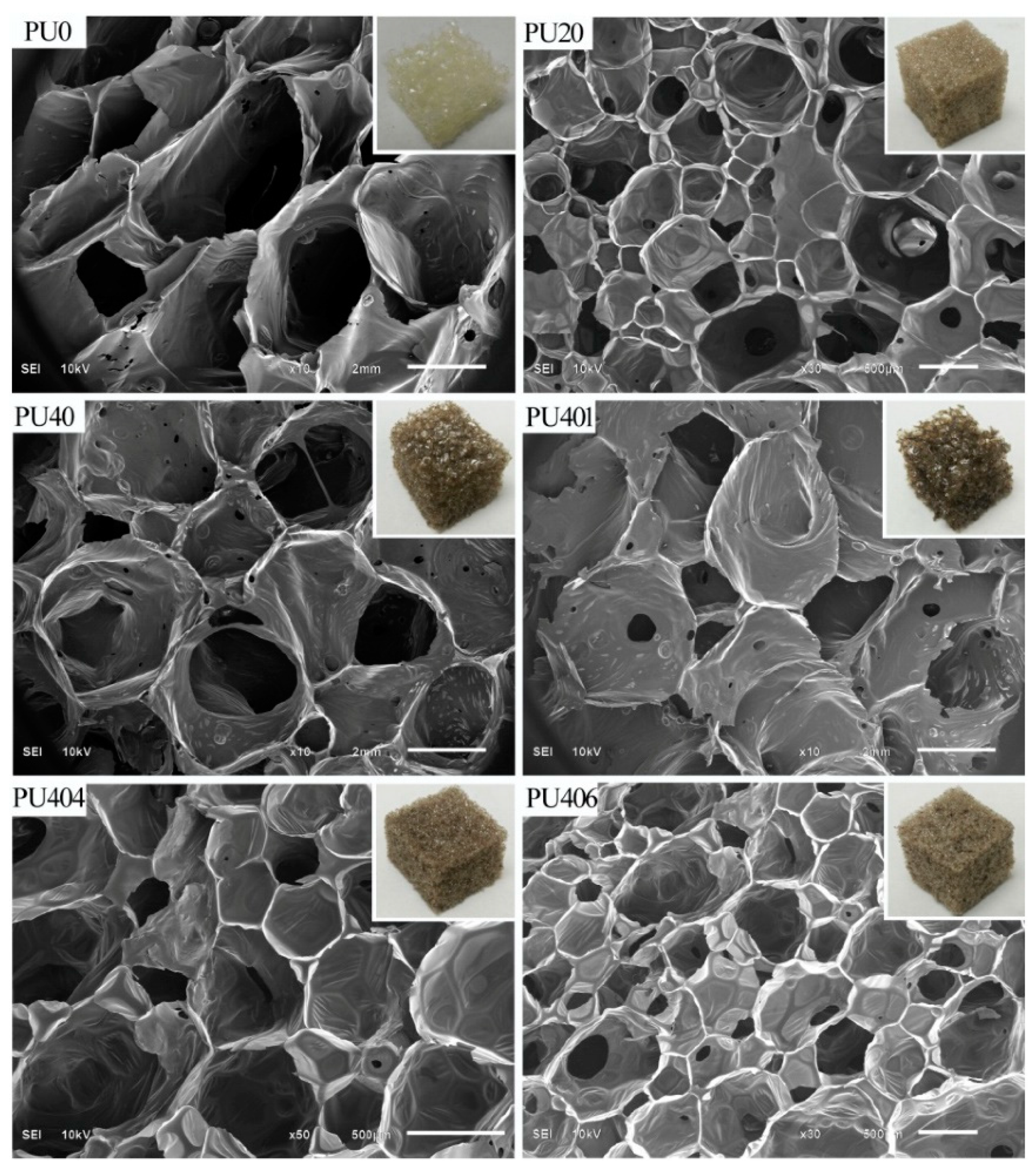 Polymers 15 00563 g015