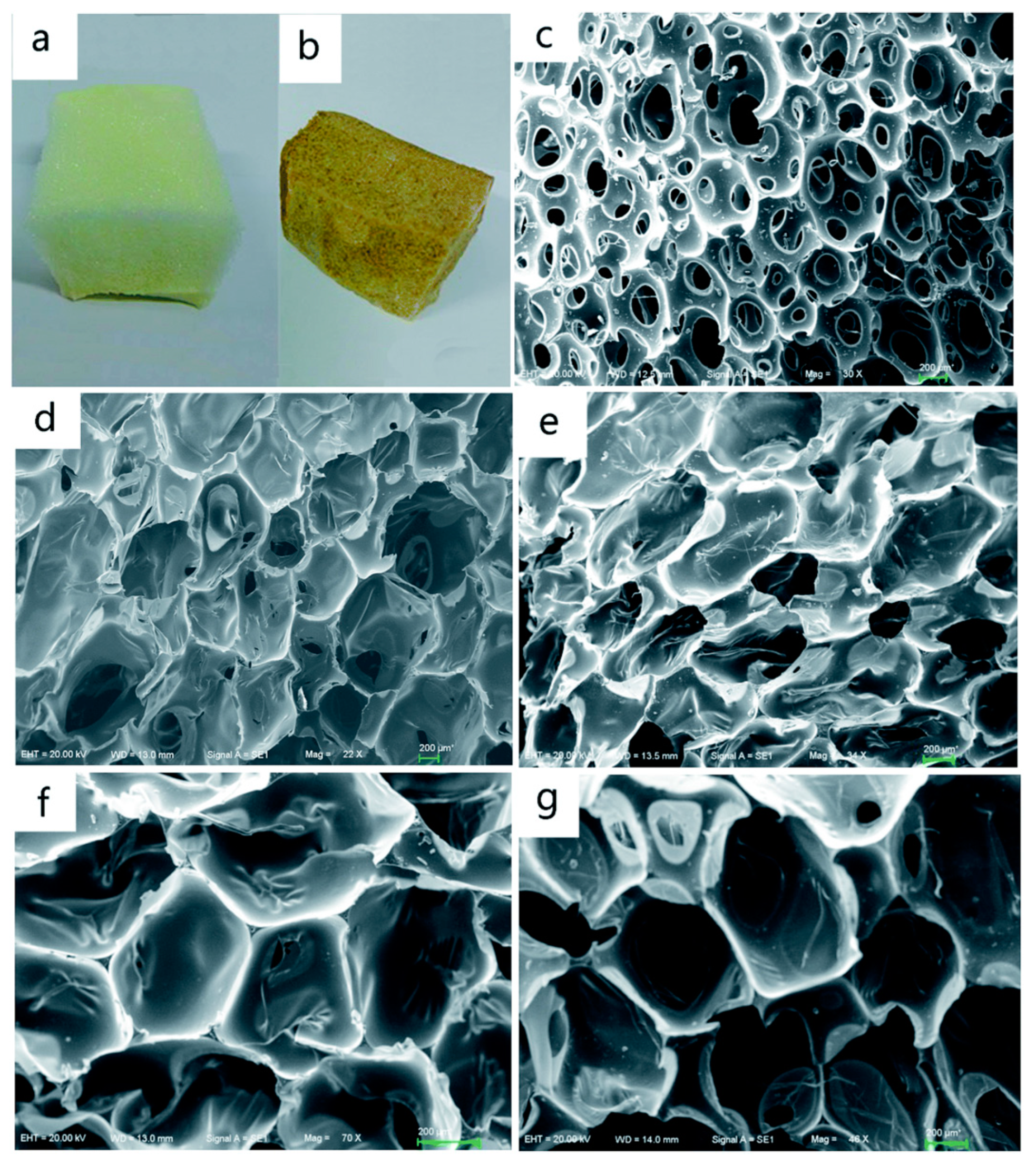 Polymers 15 00563 g017