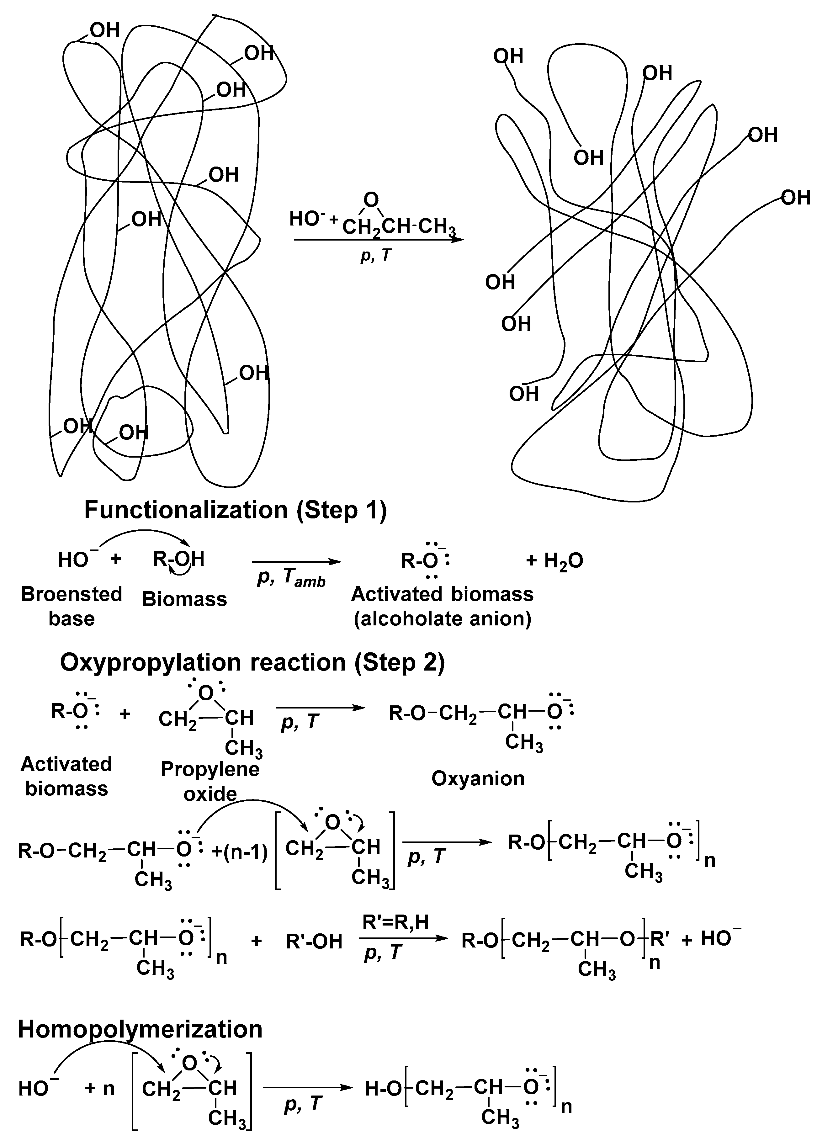 Polymers 15 00563 sch002