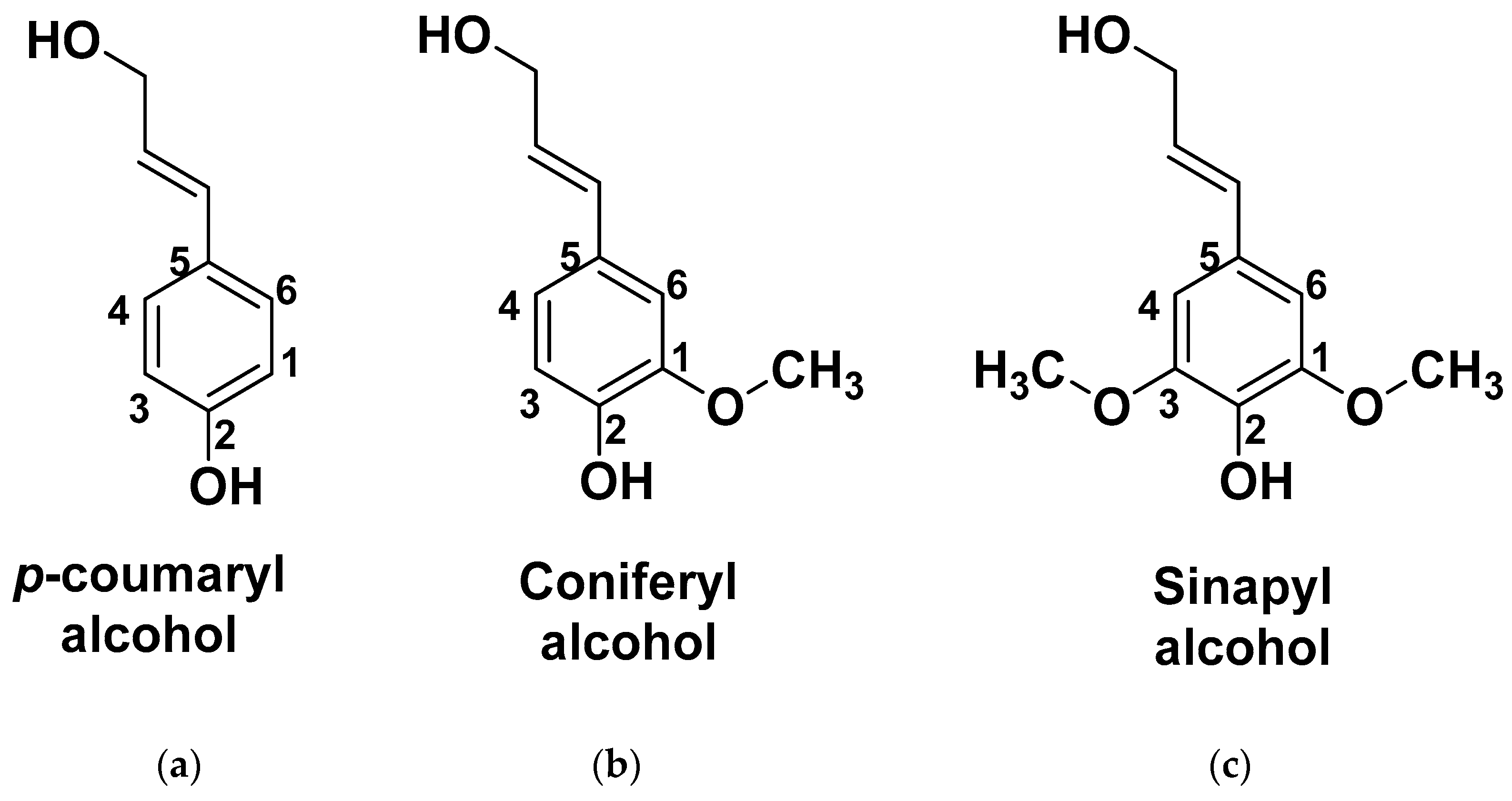 Polymers 15 00563 sch004