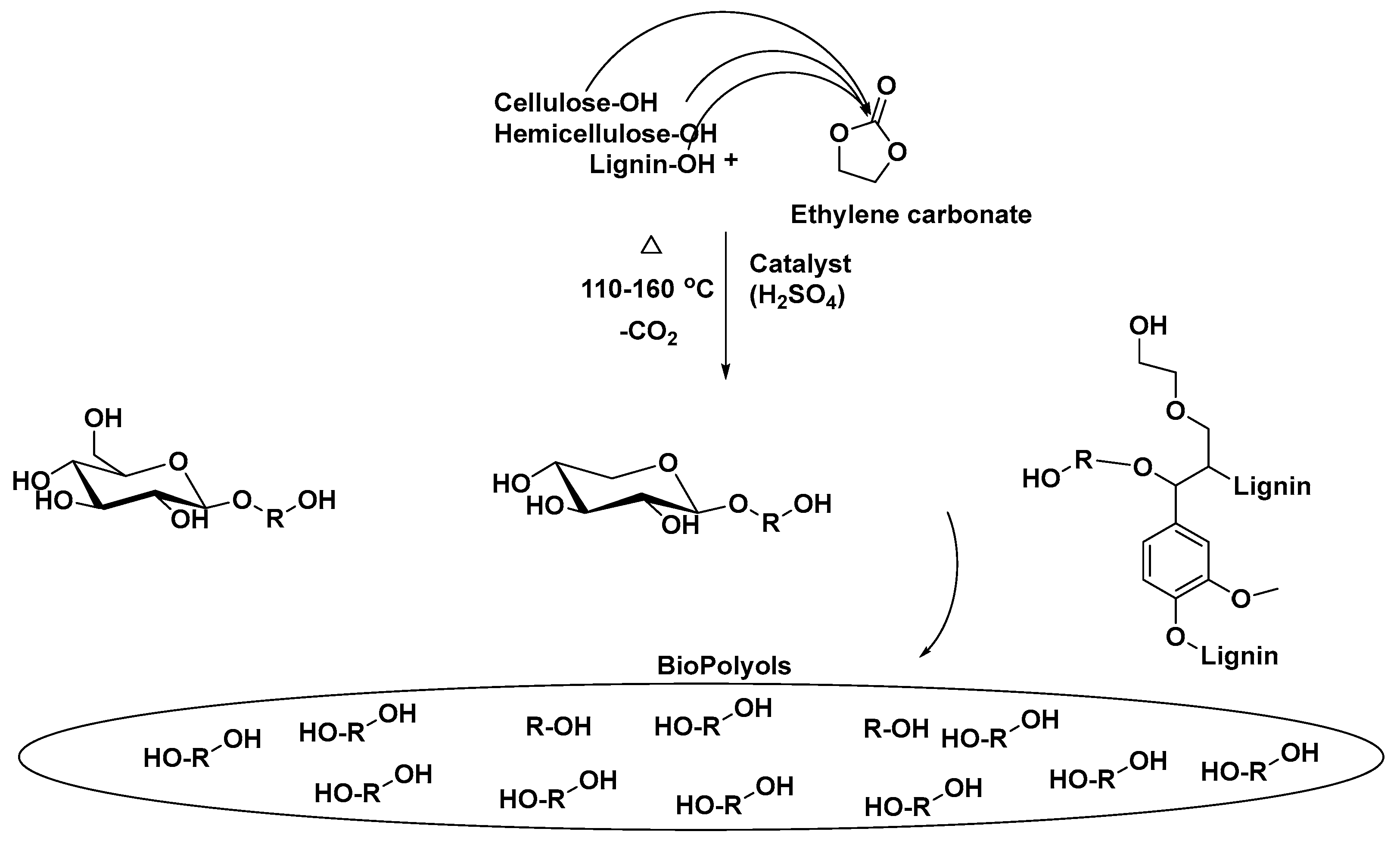 Polymers 15 00563 sch005