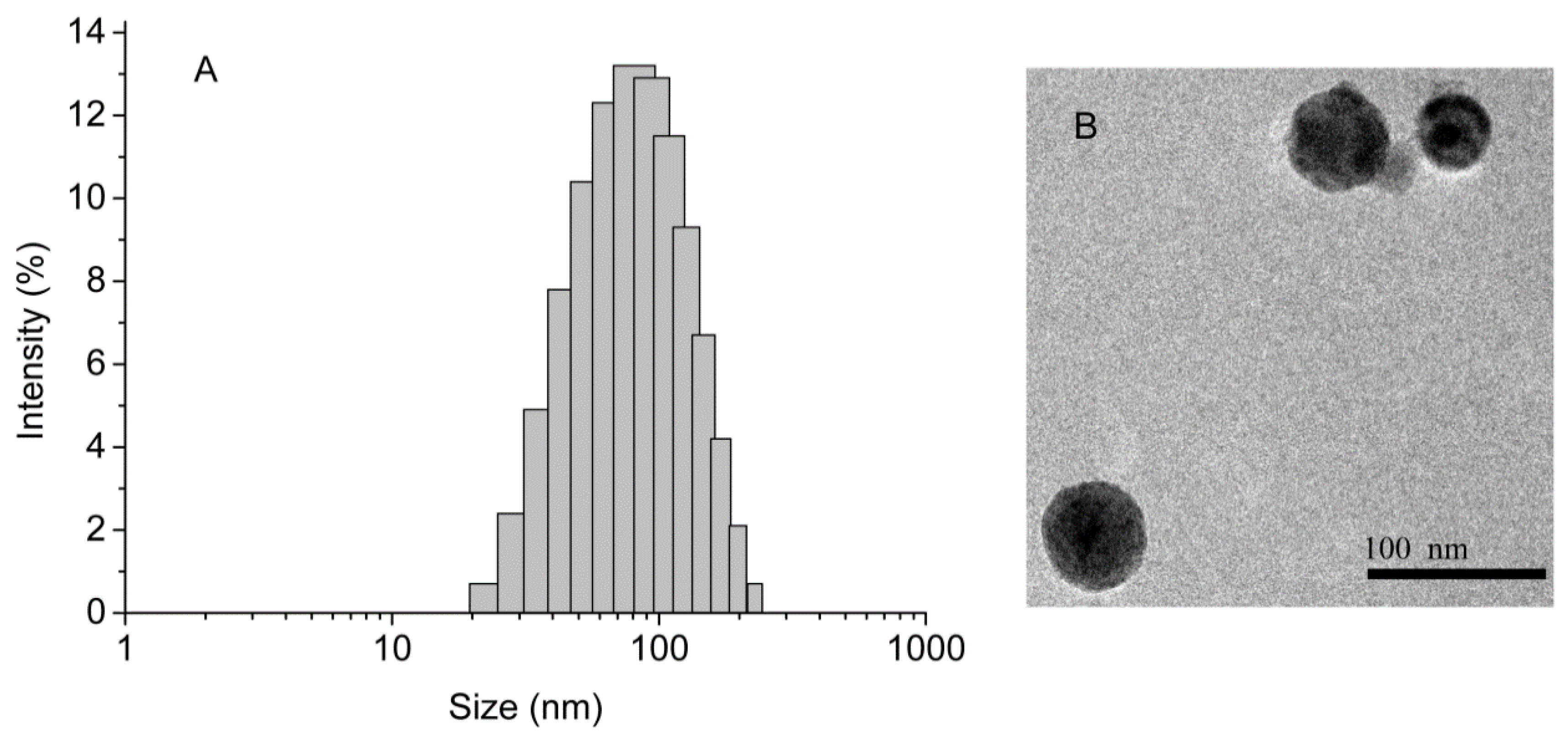 Polymers 15 00564 g005 Polymers 15 00564 g005