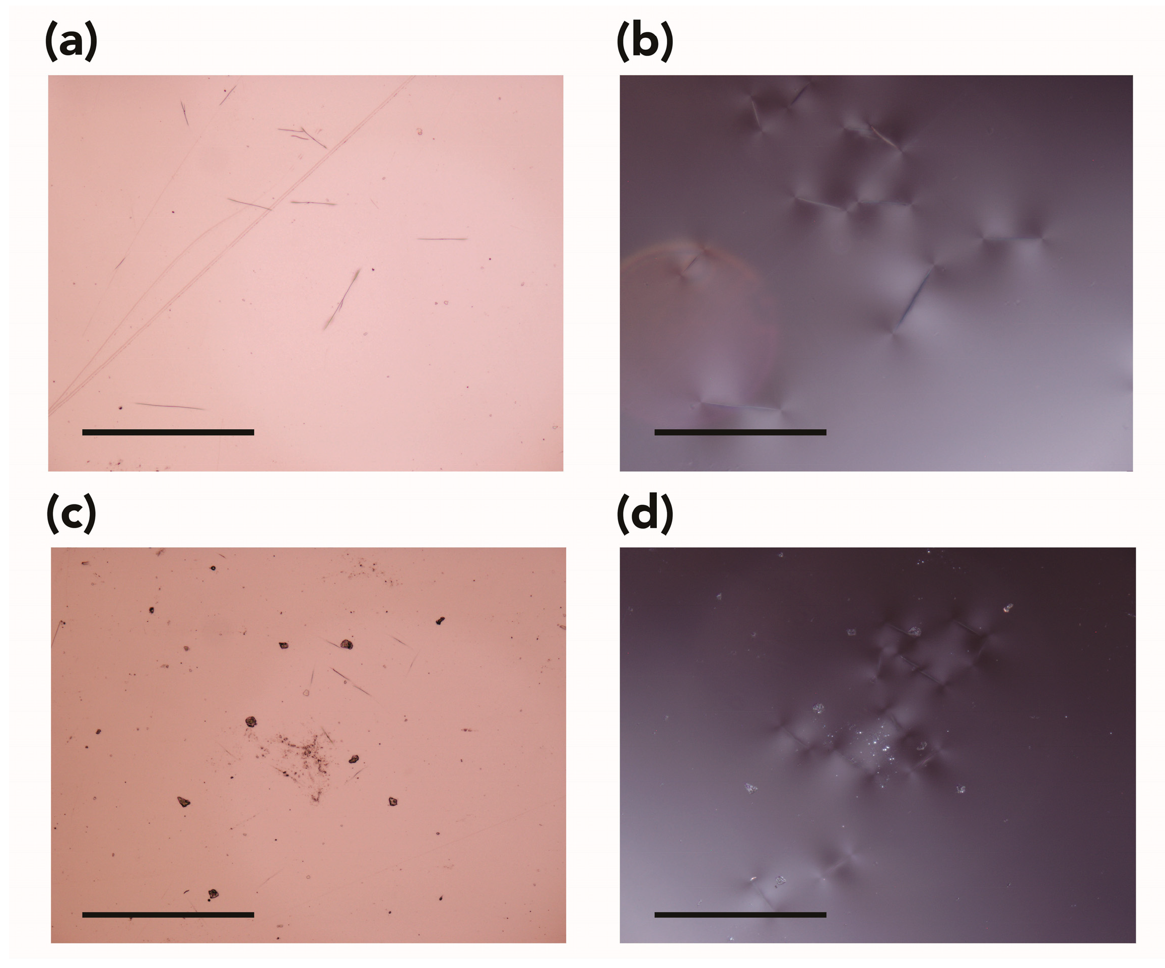 Polymers 15 00566 g010 Polymers 15 00566 g010
