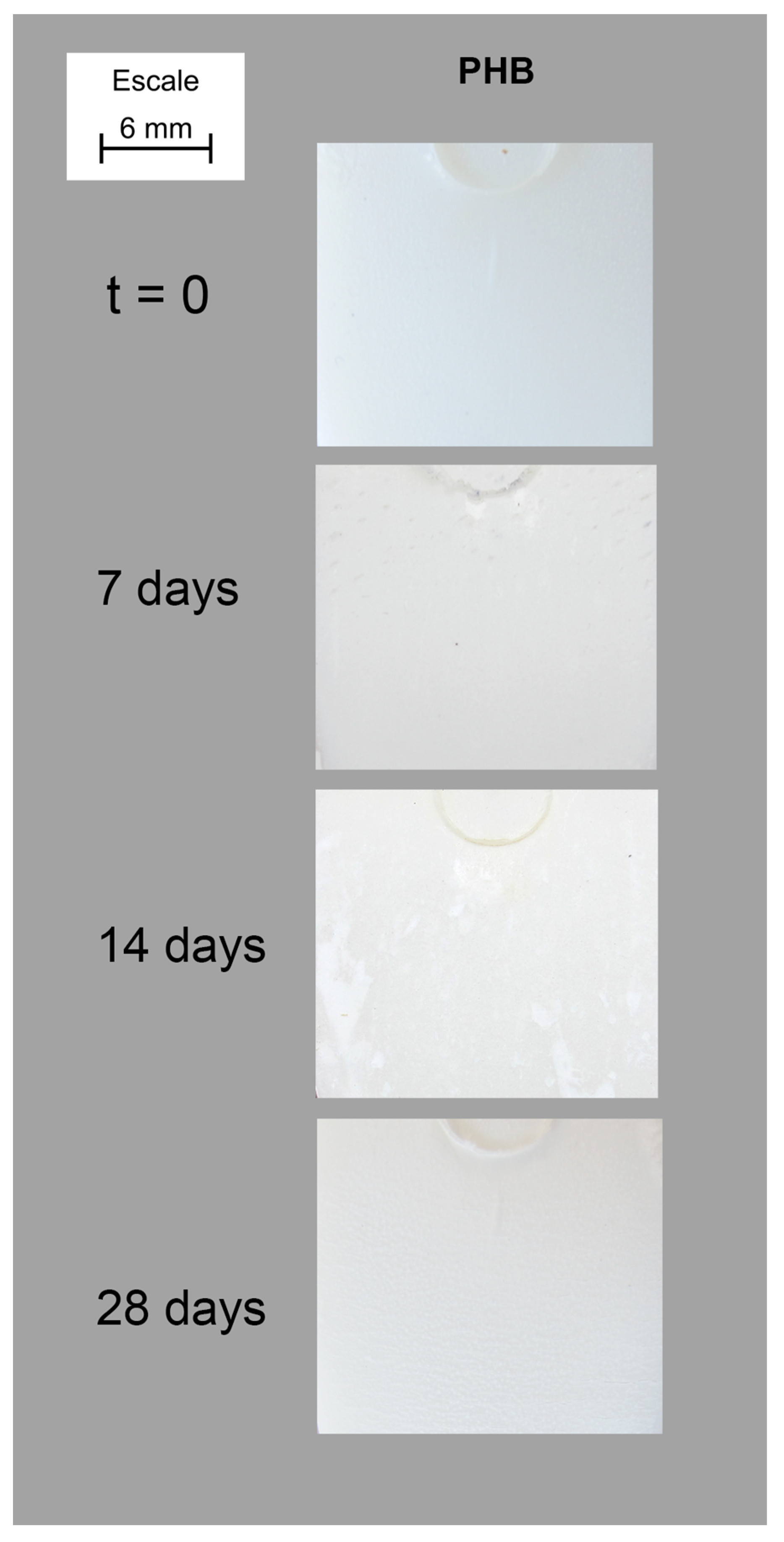 Polymers 15 00579 g001 Polymers 15 00579 g001