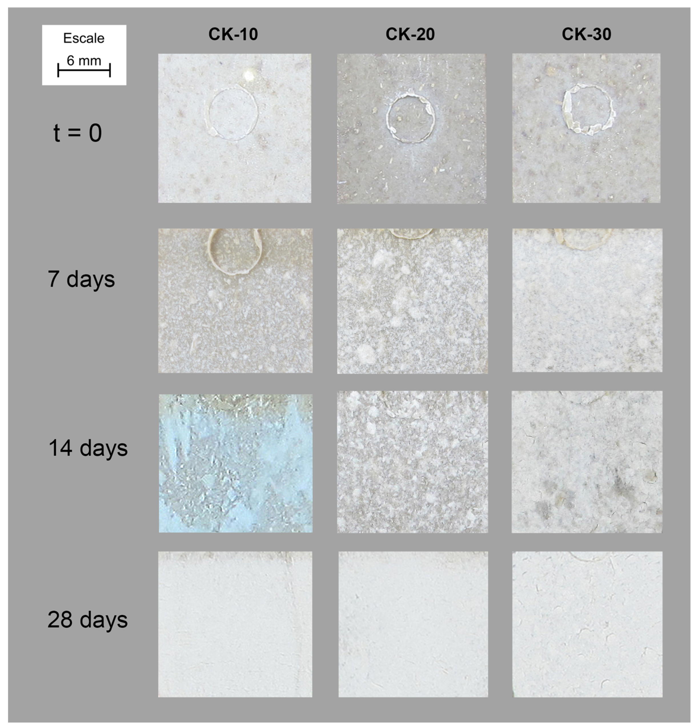Polymers 15 00579 g003 Polymers 15 00579 g003