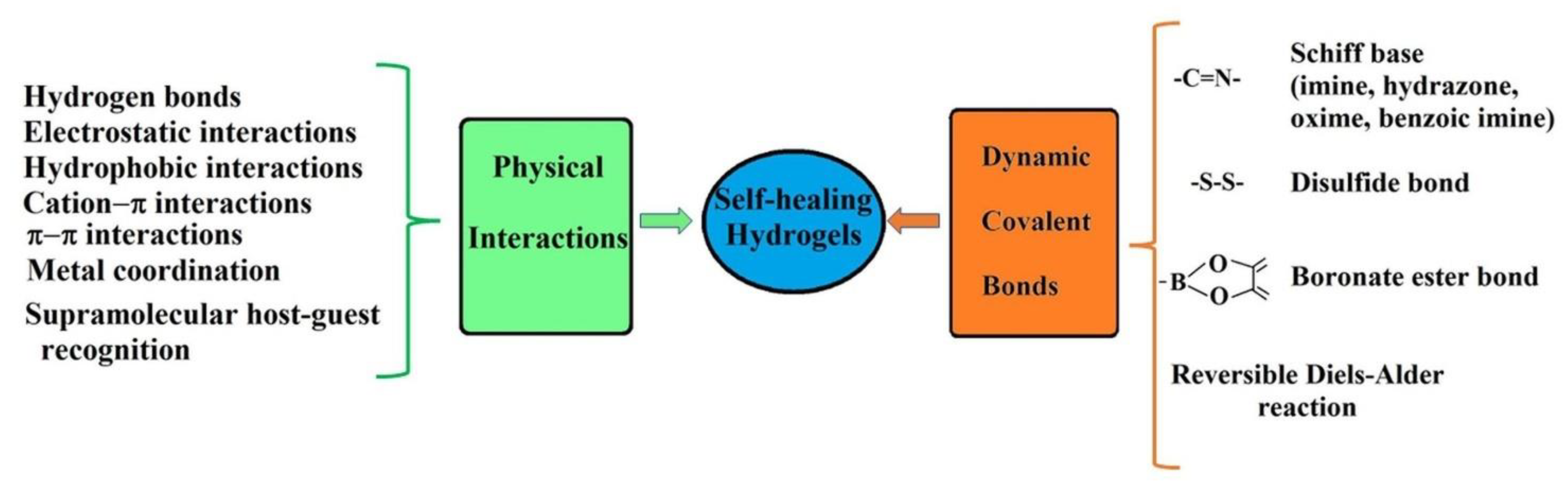 Polymers 15 00582 g001