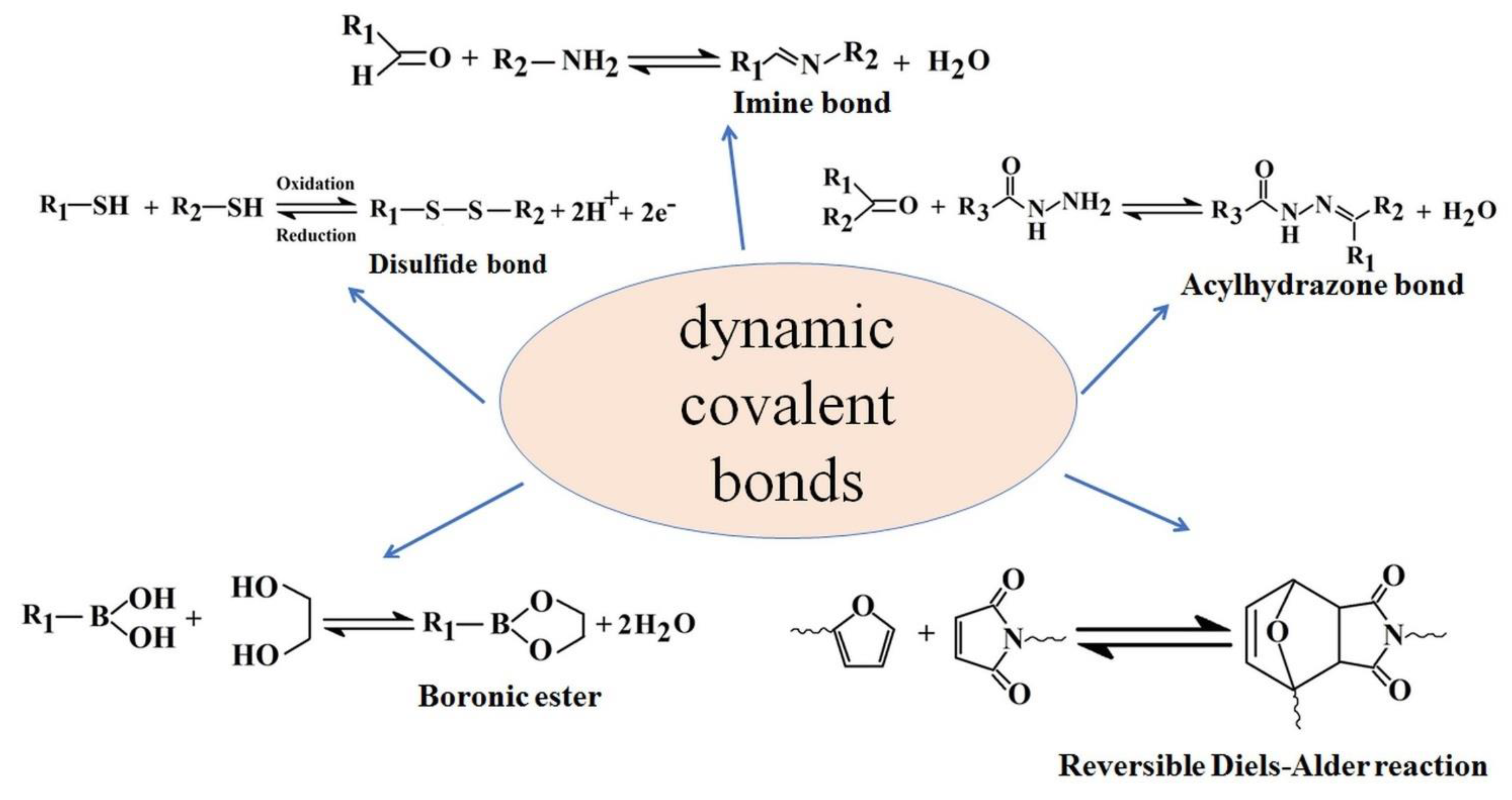 Polymers 15 00582 g002