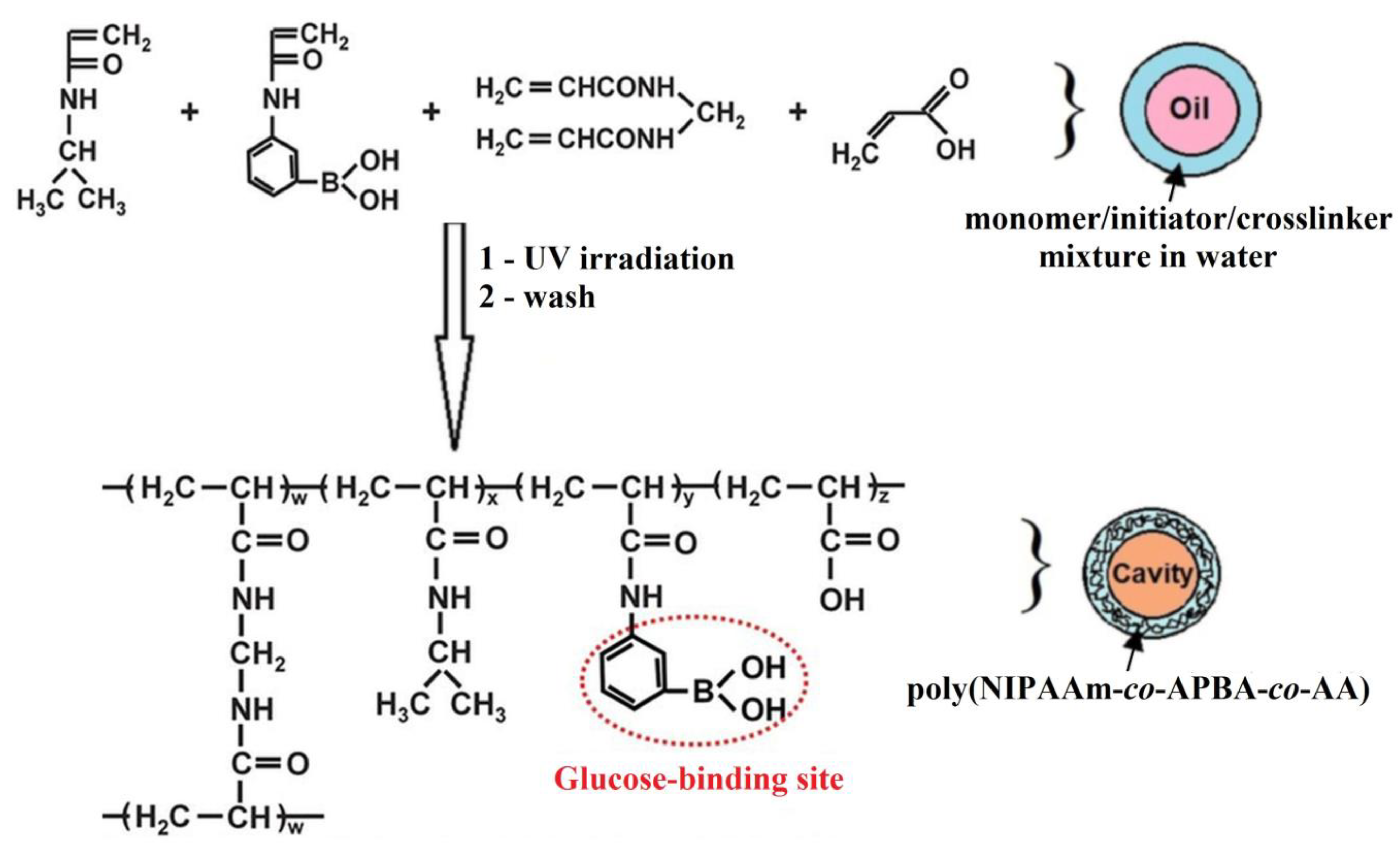 Polymers 15 00582 g004