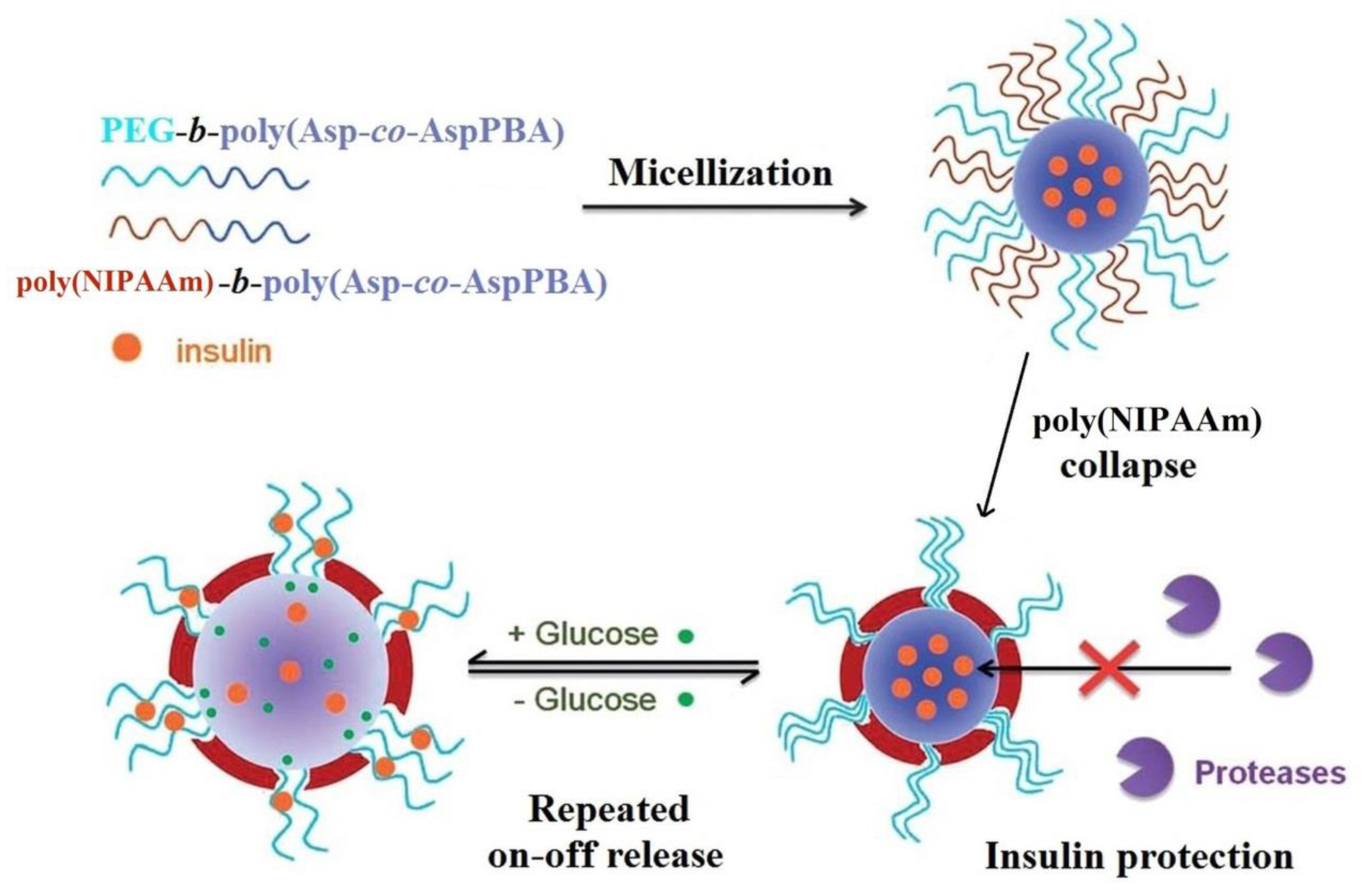 Polymers 15 00582 g009