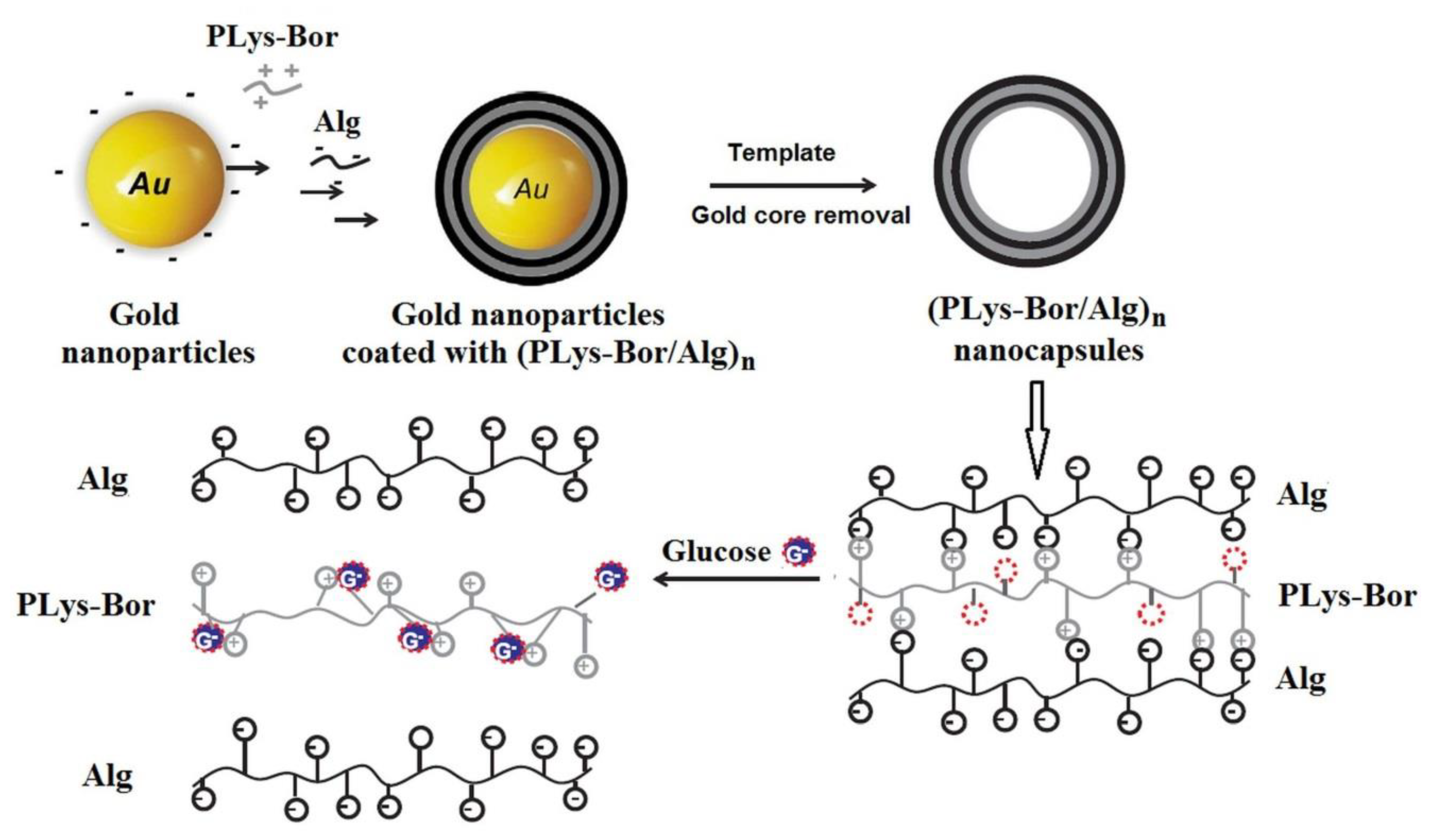 Polymers 15 00582 g010