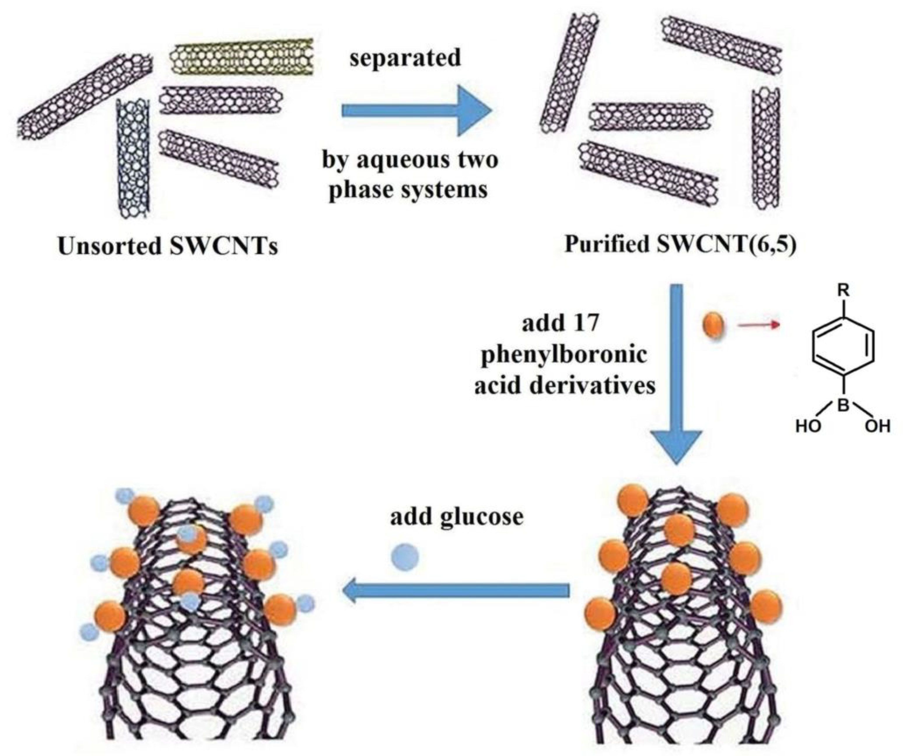 Polymers 15 00582 g012