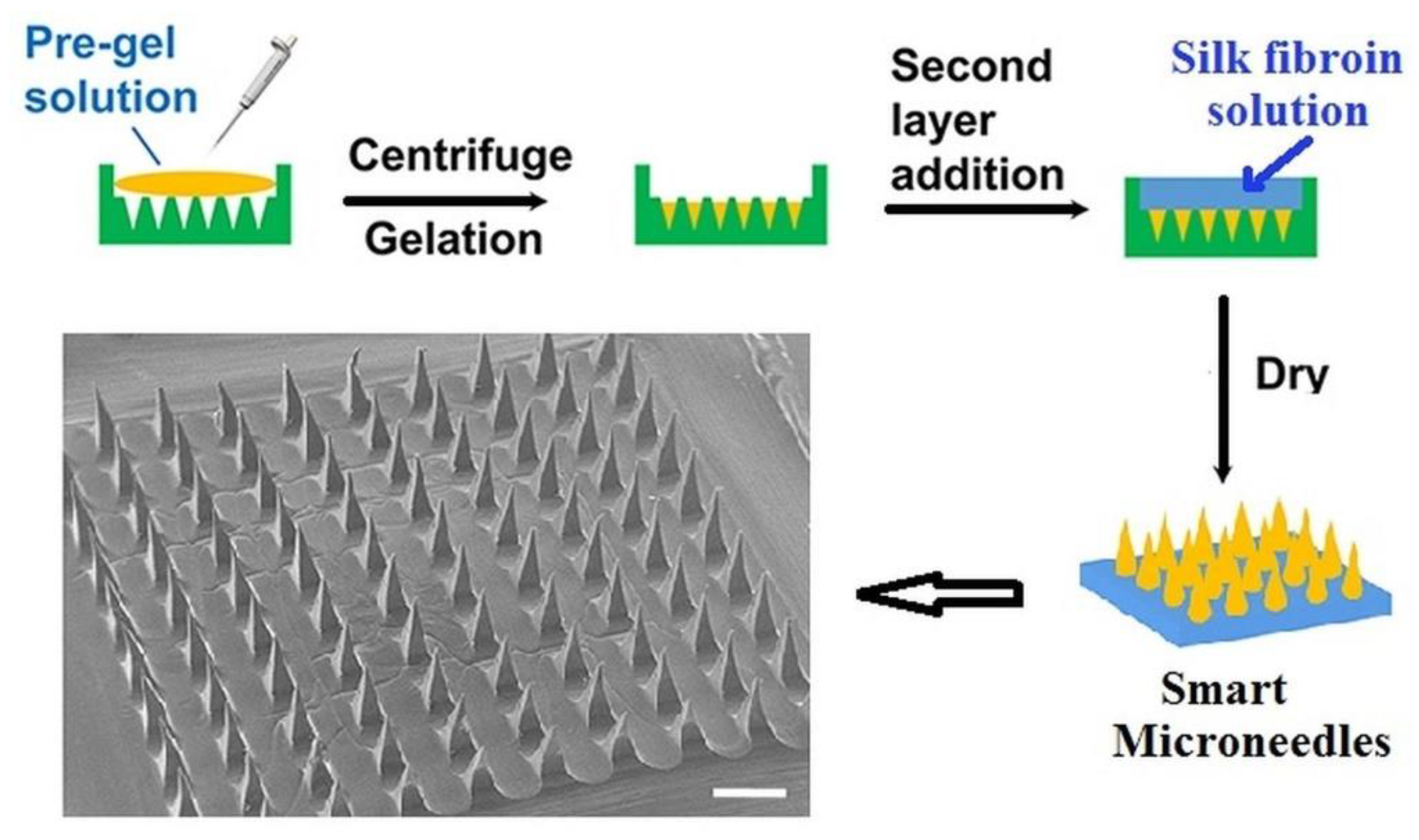 Polymers 15 00582 g013