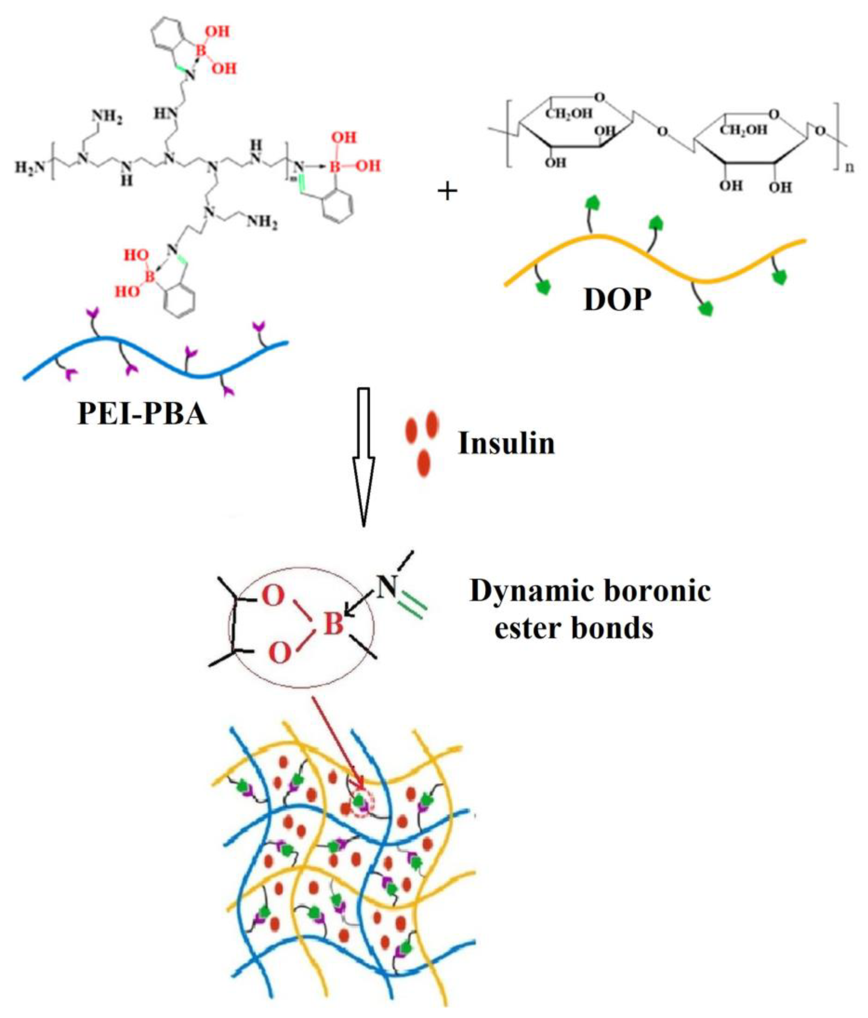 Polymers 15 00582 g014