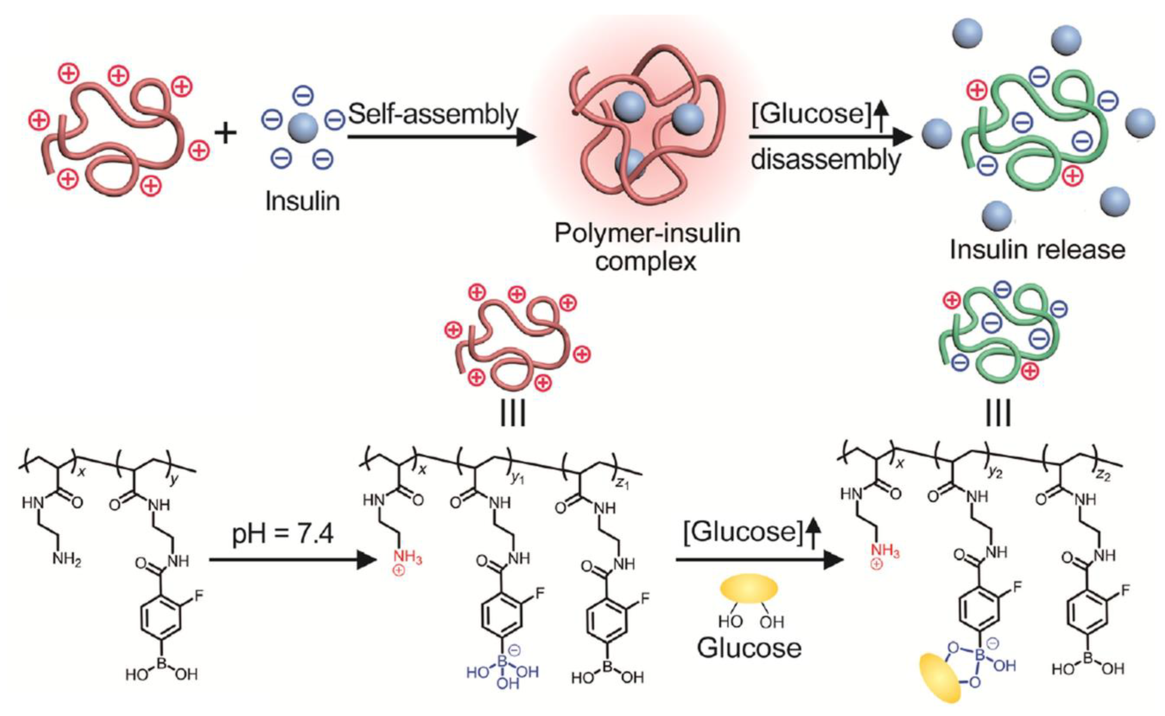 Polymers 15 00582 g016