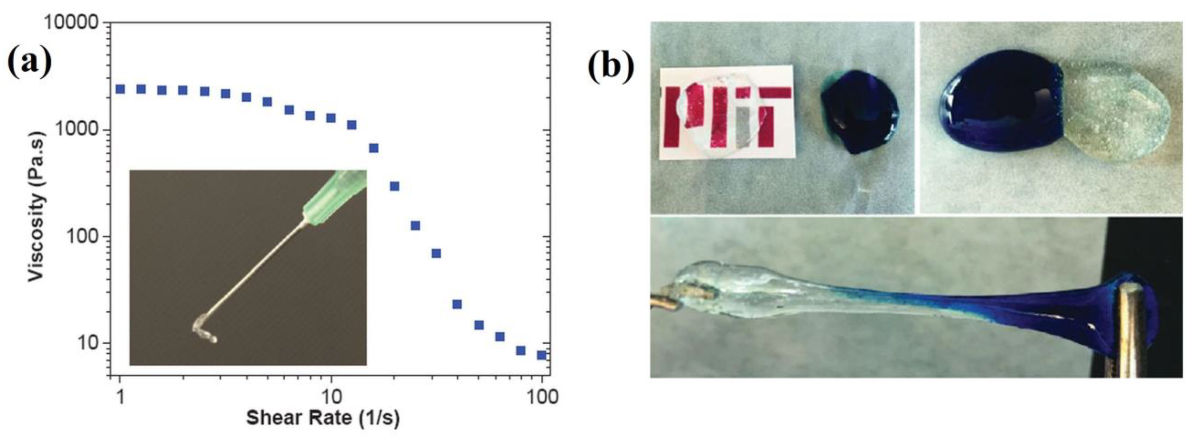 Polymers 15 00582 g017