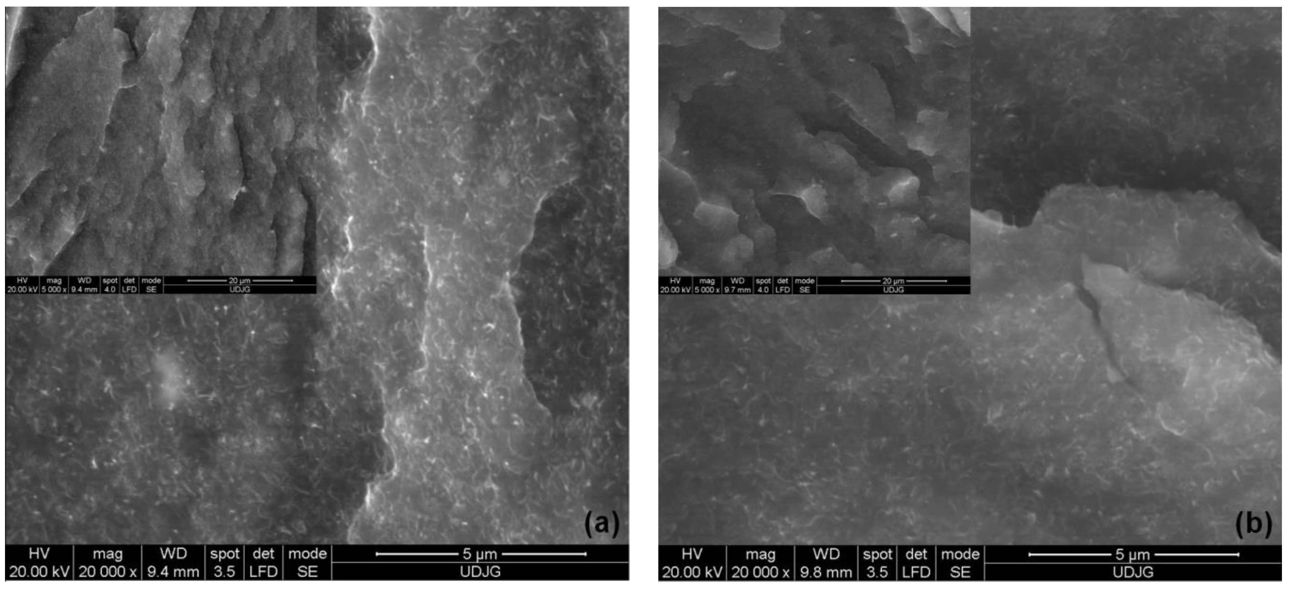Polymers 15 00583 g011a