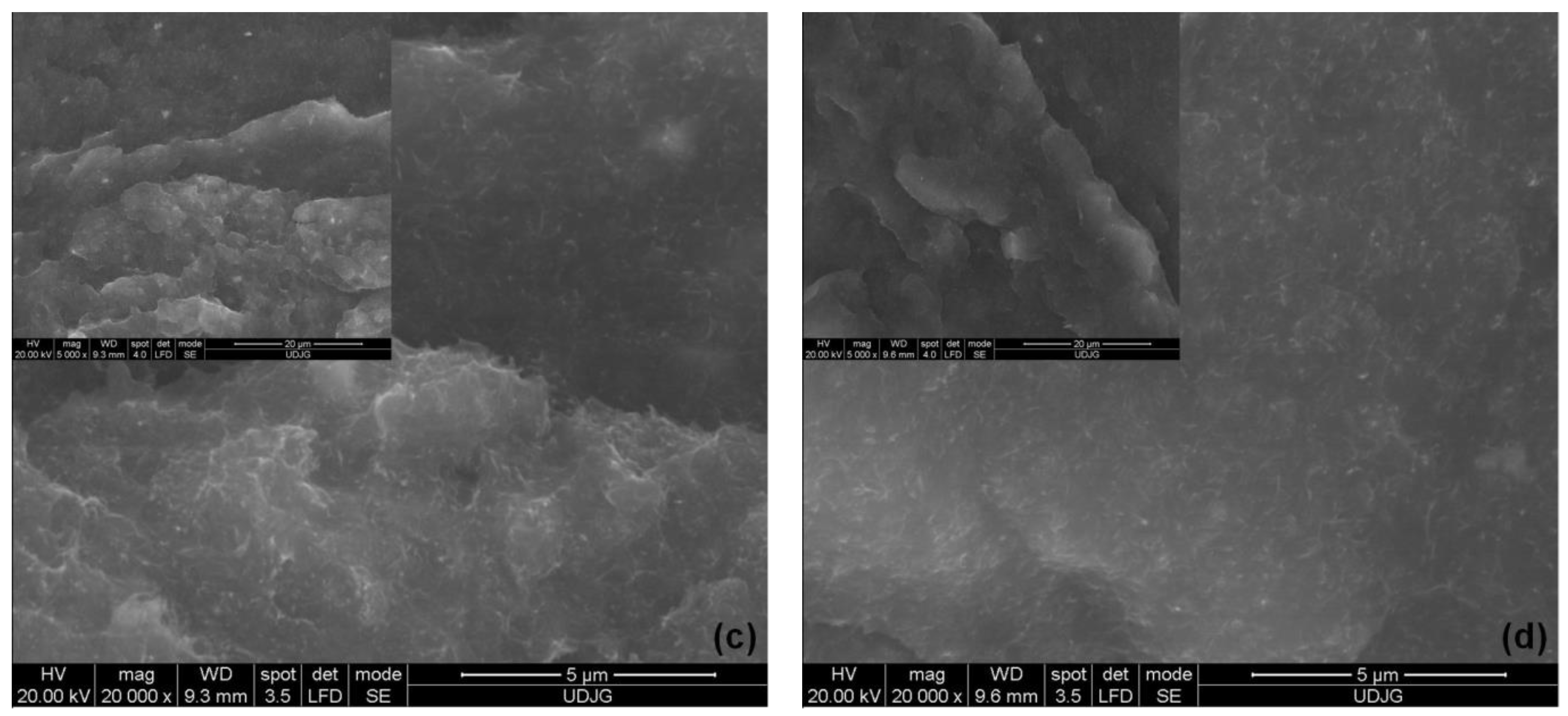Polymers 15 00583 g011b
