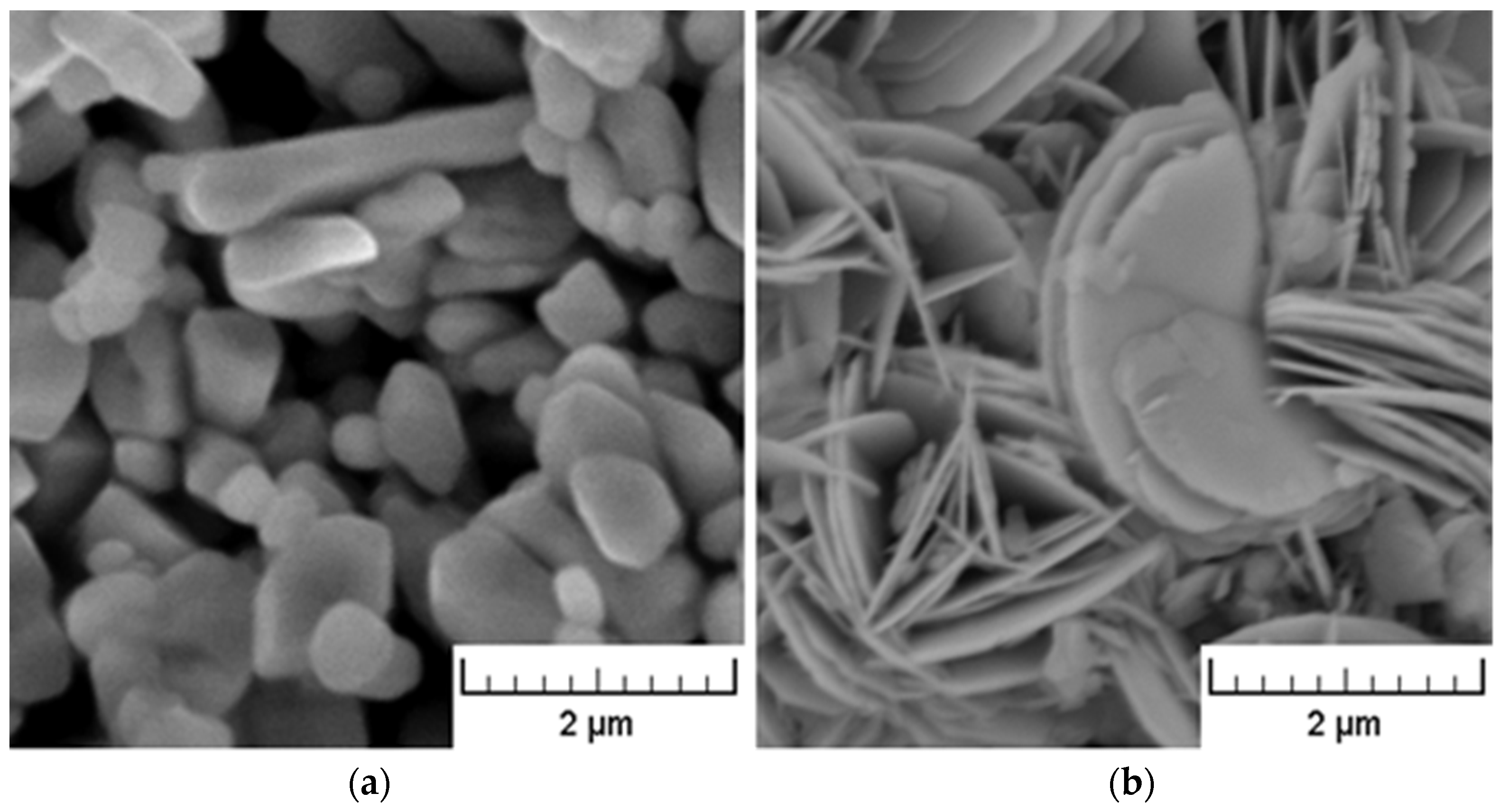 Polymers 15 00587 g001 Polymers 15 00587 g001