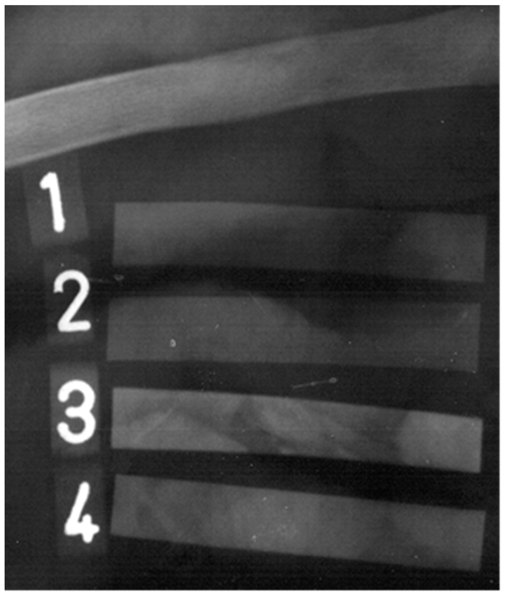 Polymers 15 00587 g009 Polymers 15 00587 g009