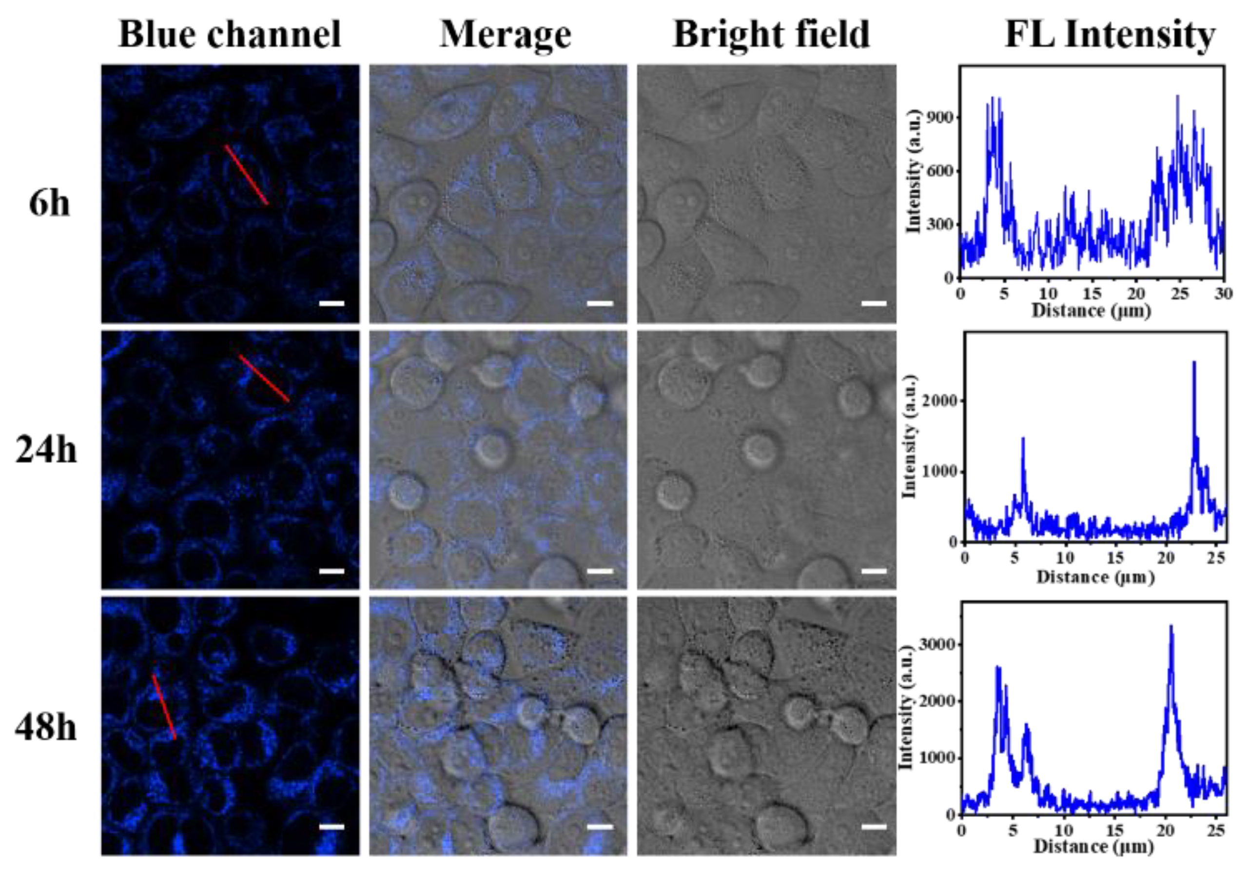 Polymers 15 00596 g011 Polymers 15 00596 g011