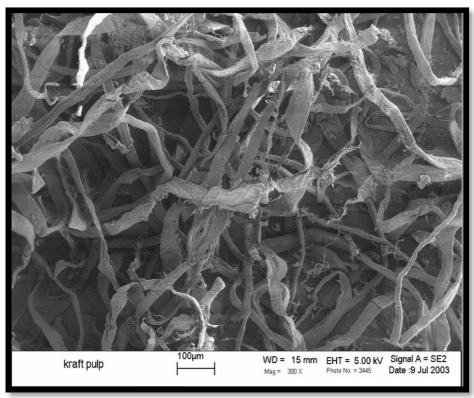 Polymers 15 00601 g004 Polymers 15 00601 g004