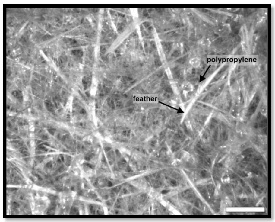Polymers 15 00601 g005 Polymers 15 00601 g005