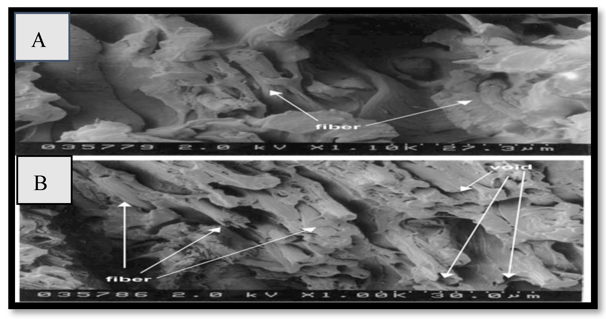 Polymers 15 00601 g006 Polymers 15 00601 g006