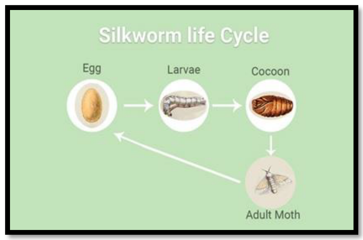 Polymers 15 00601 g008 Polymers 15 00601 g008