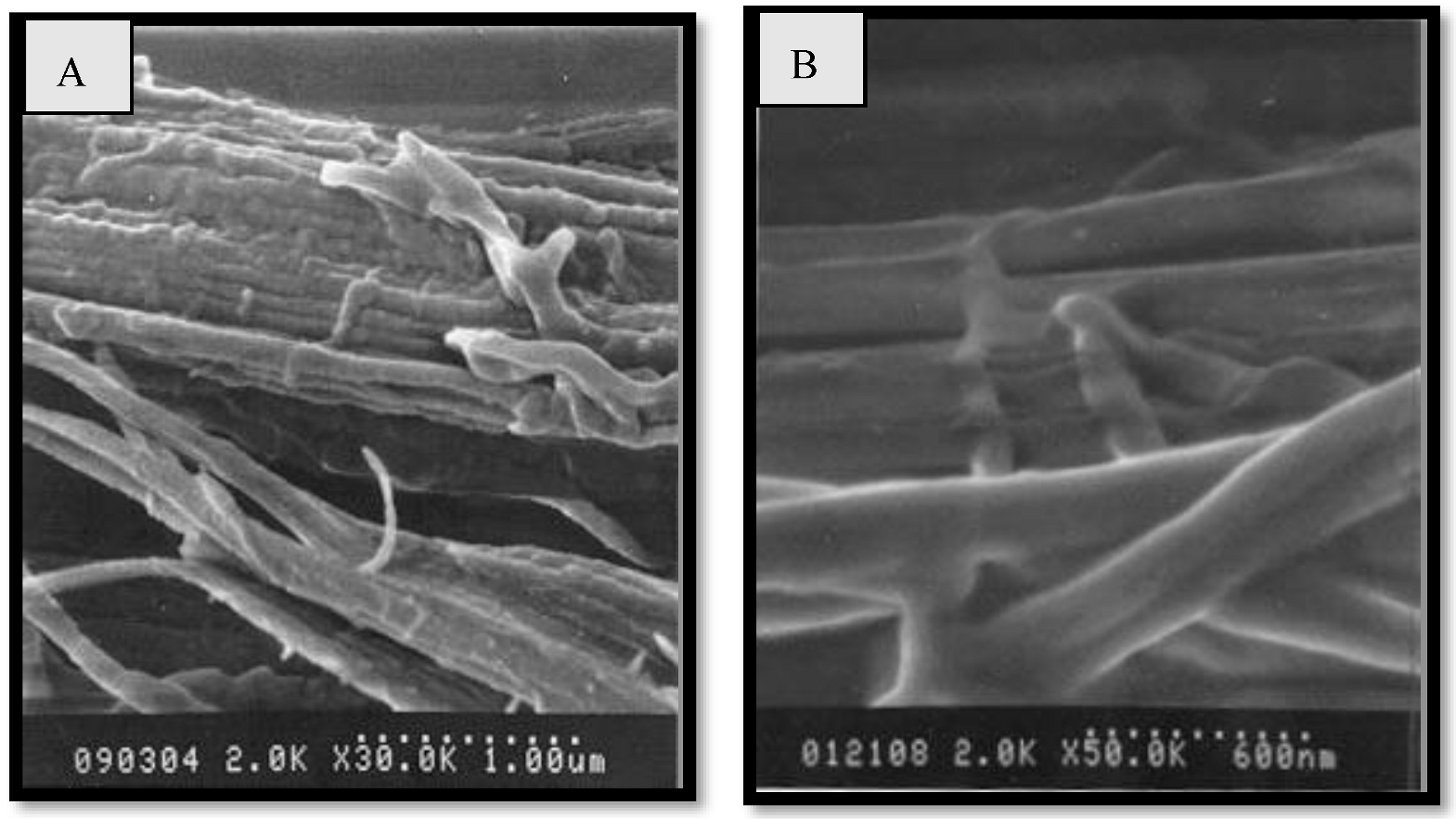 Polymers 15 00601 g009 Polymers 15 00601 g009
