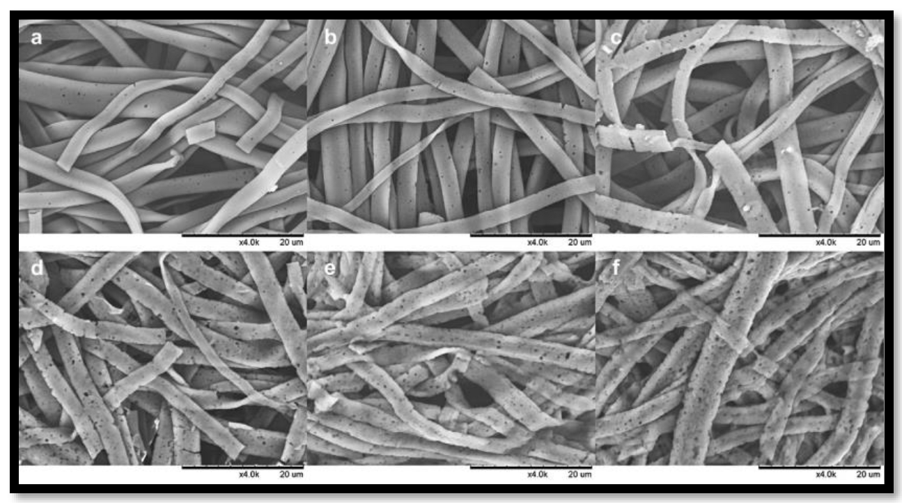 Polymers 15 00601 g010 Polymers 15 00601 g010