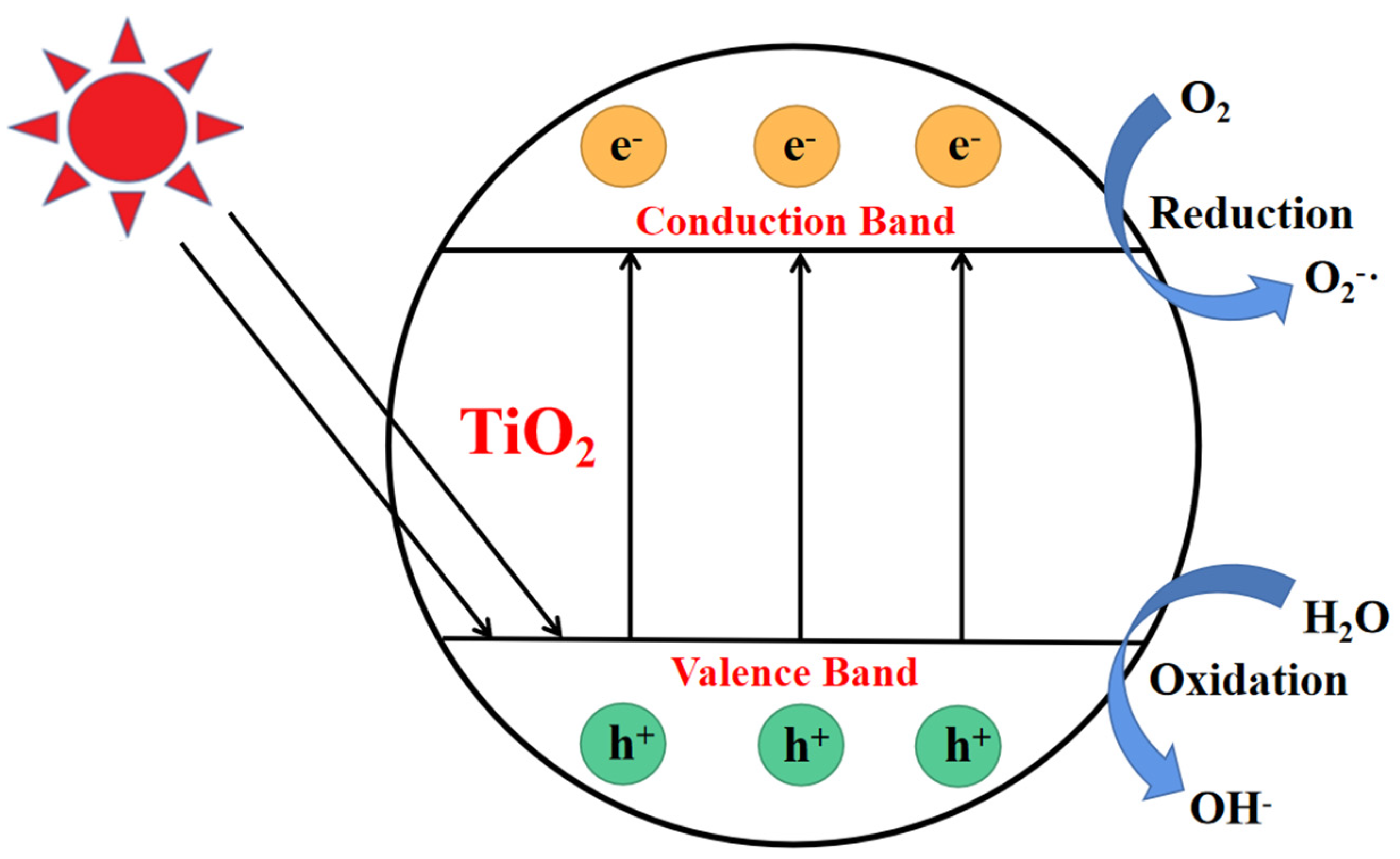 Polymers 15 00602 g001