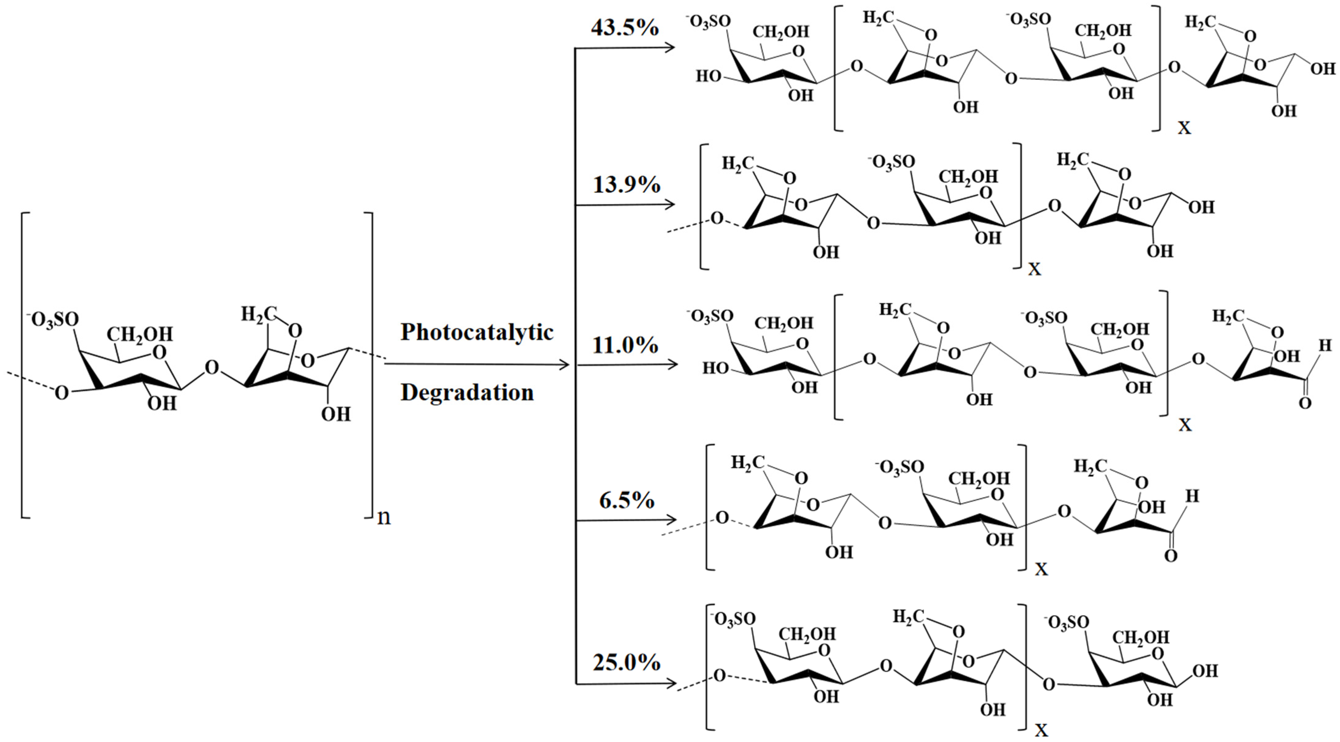 Polymers 15 00602 g008