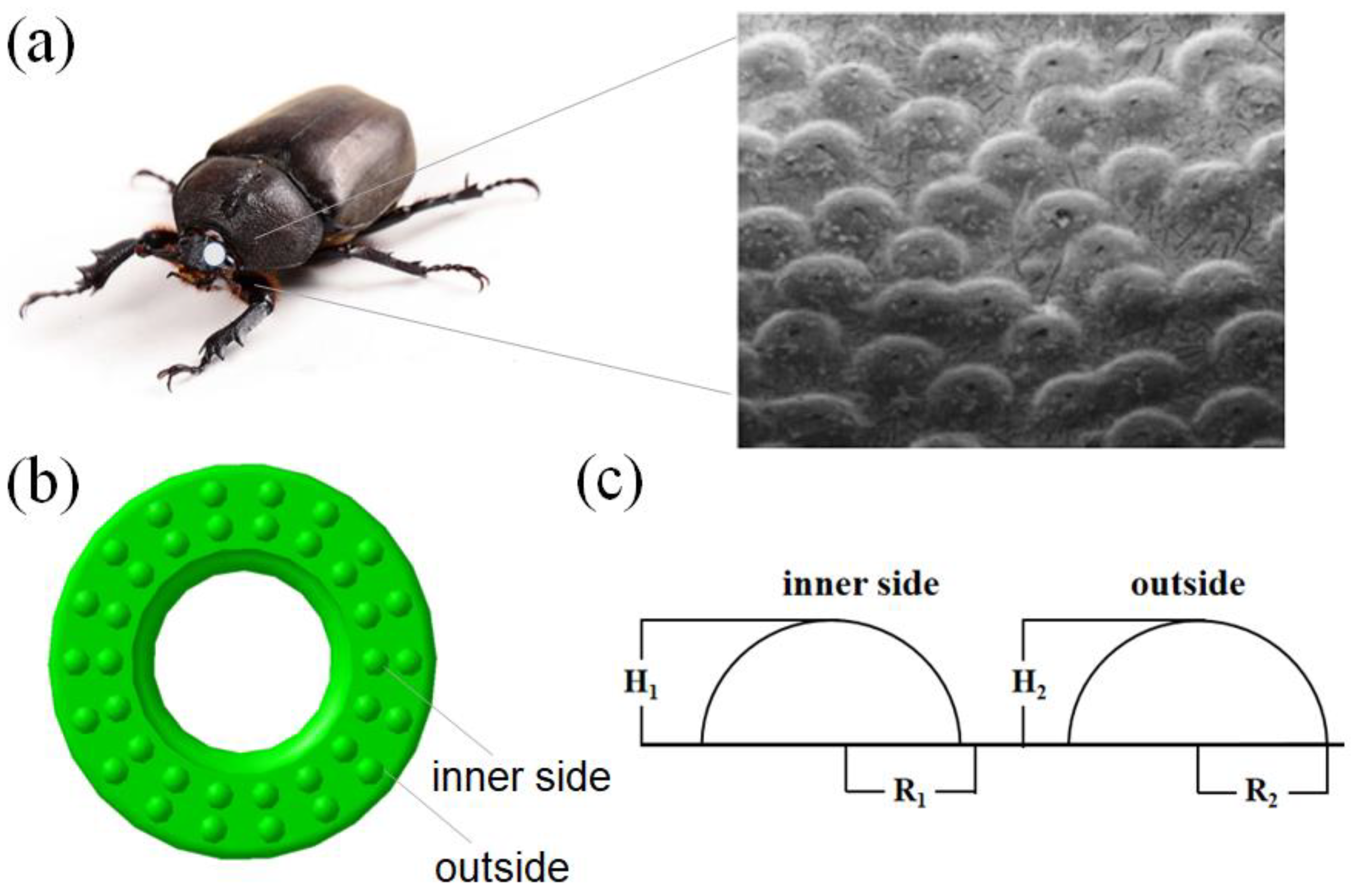 Polymers 15 00606 g001