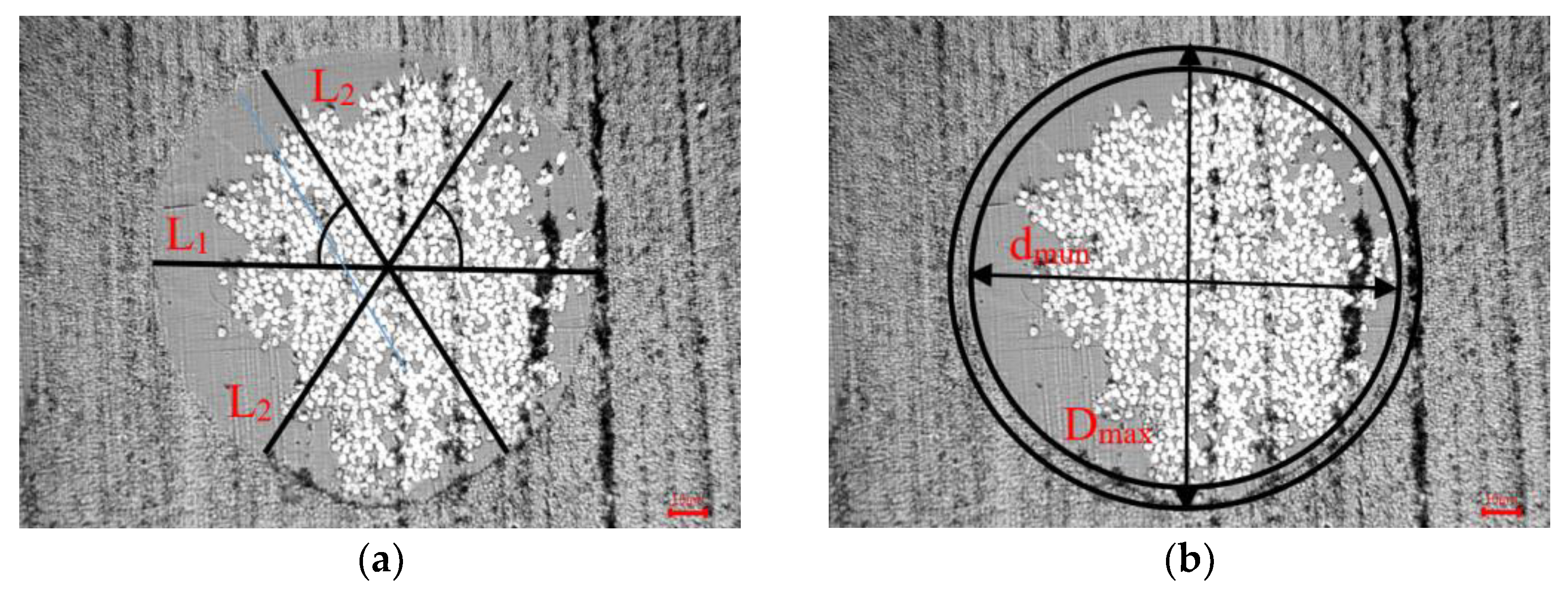 Polymers 15 00607 g003