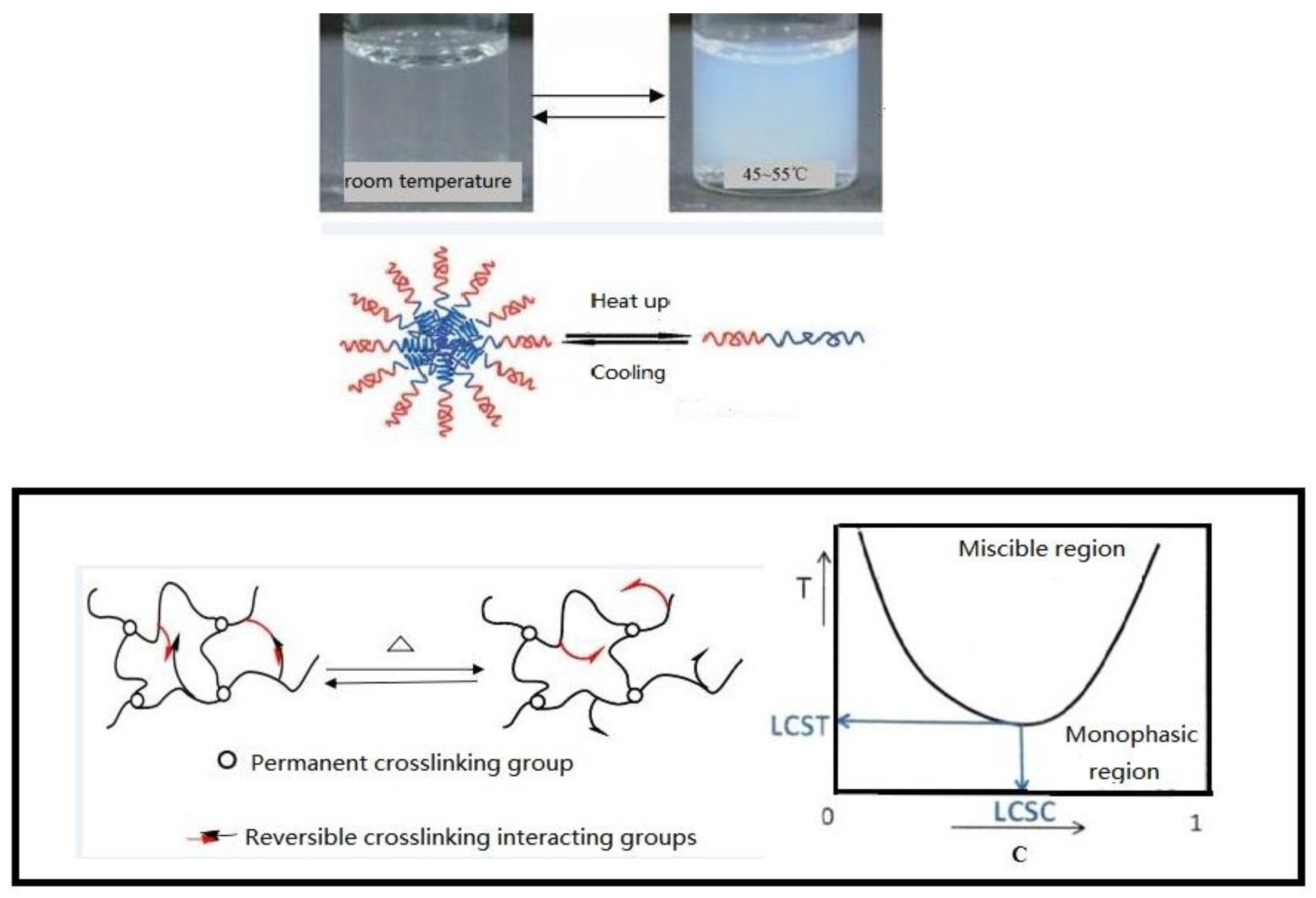 Polymers 15 00609 g001