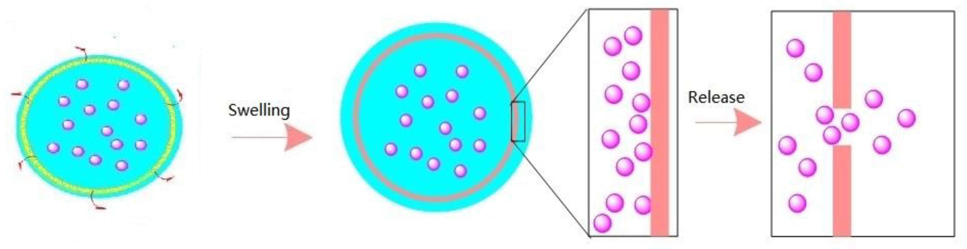 Polymers 15 00609 g013