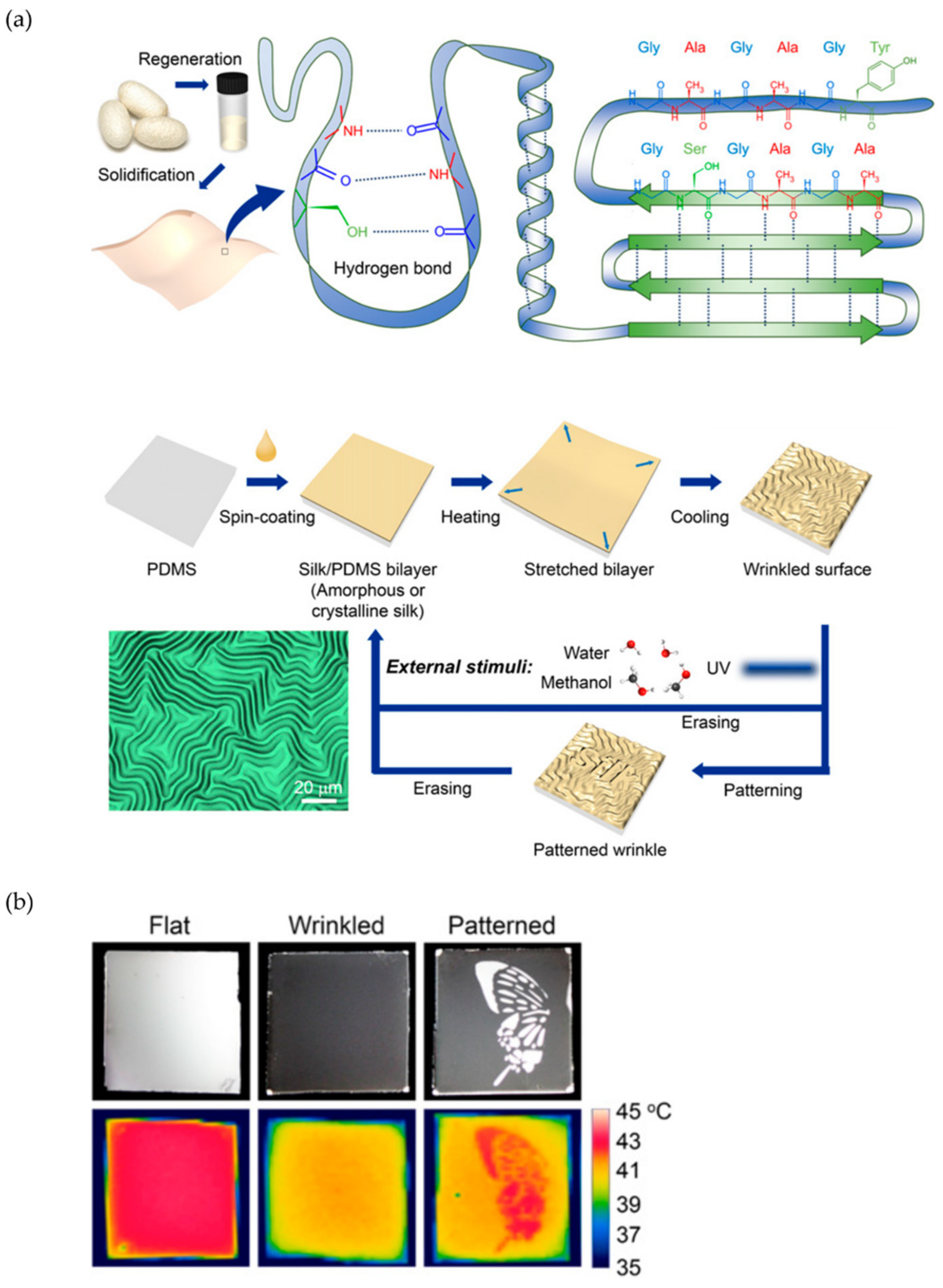 Polymers 15 00612 g003 Polymers 15 00612 g003
