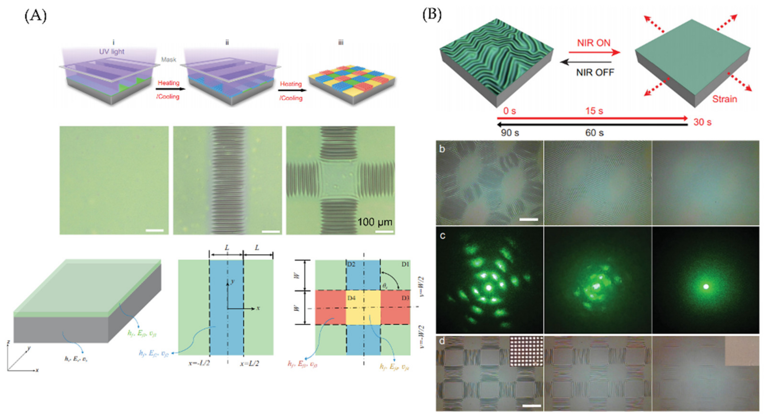 Polymers 15 00612 g007 Polymers 15 00612 g007