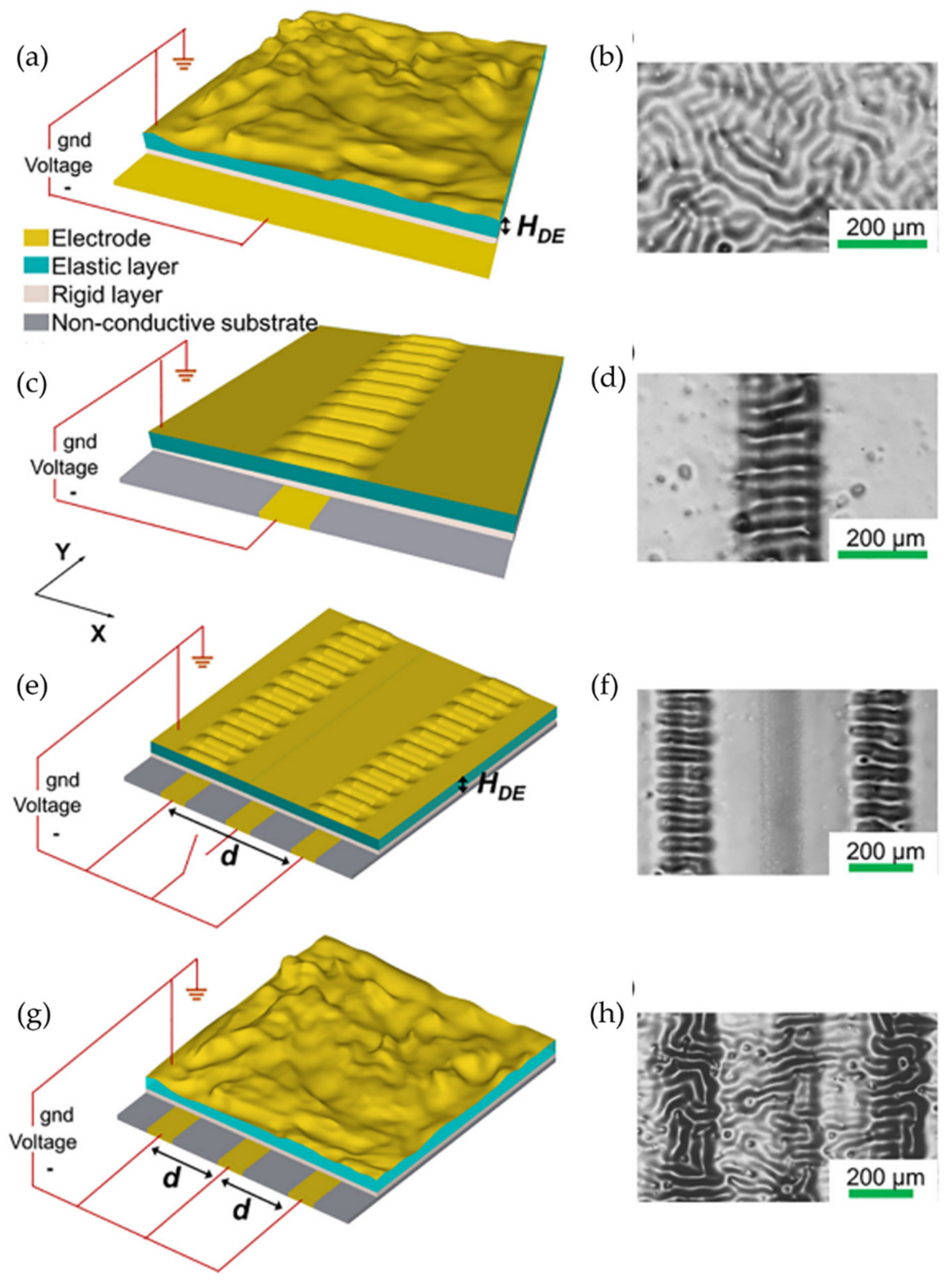 Polymers 15 00612 g016 Polymers 15 00612 g016