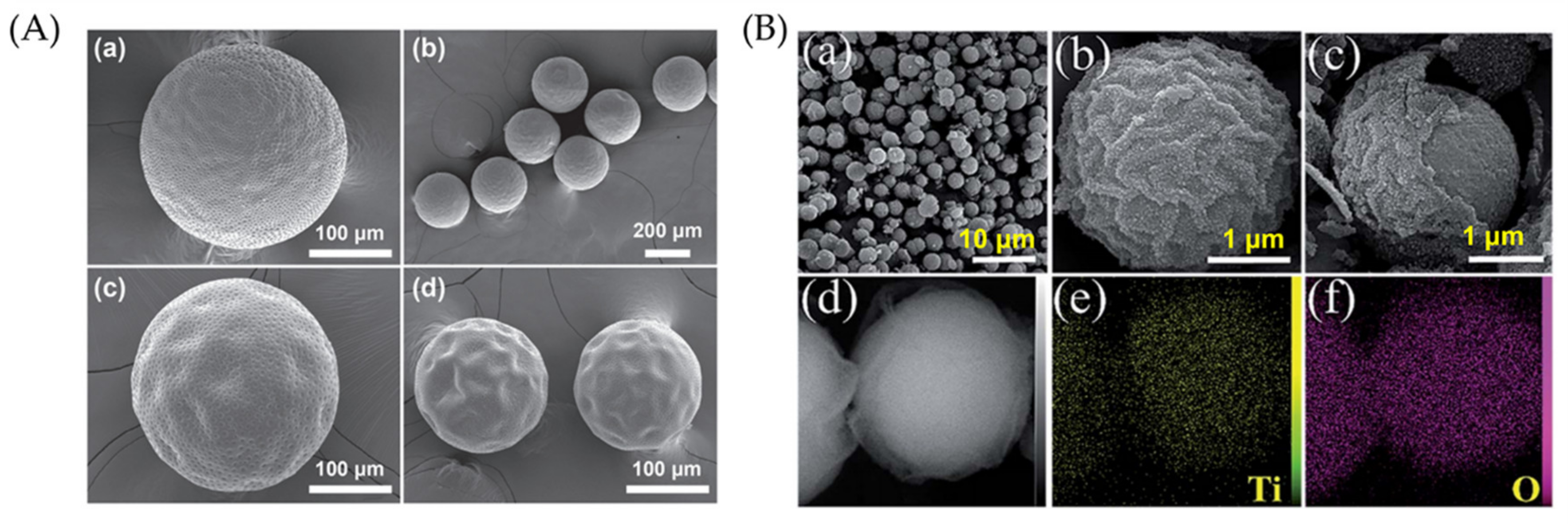 Polymers 15 00612 g024 Polymers 15 00612 g024