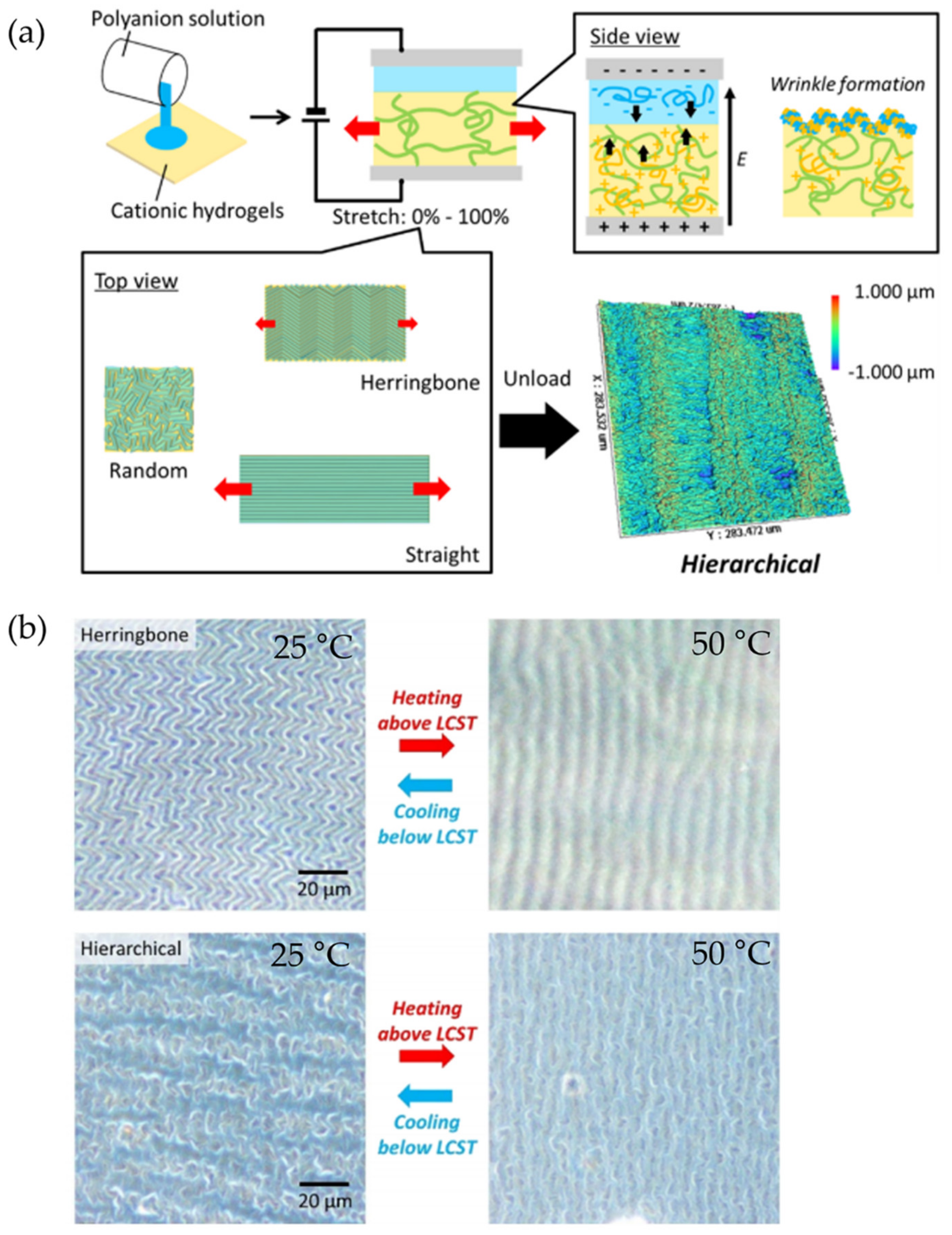 Polymers 15 00612 g036 Polymers 15 00612 g036